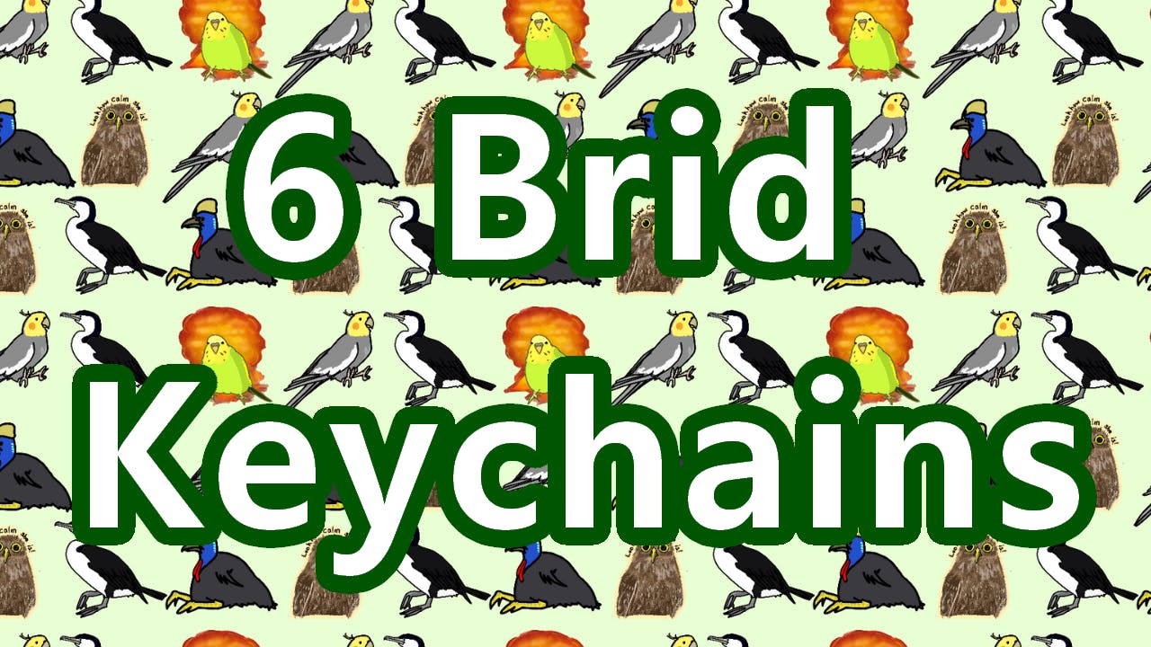 6 Brid Keychains!