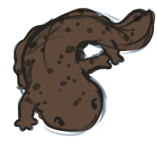 Hellbender (option 2)