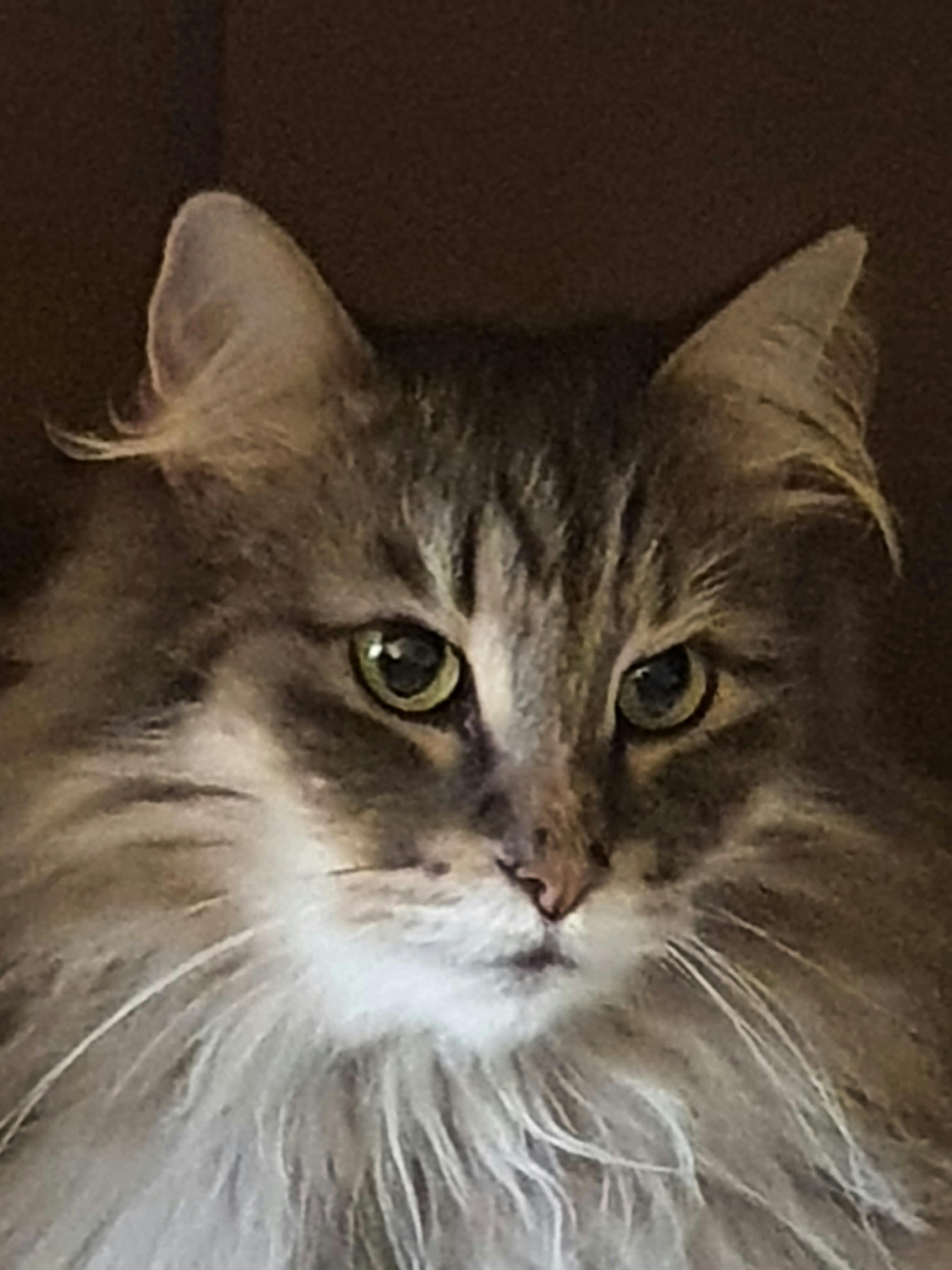 user avatar image for Nigel