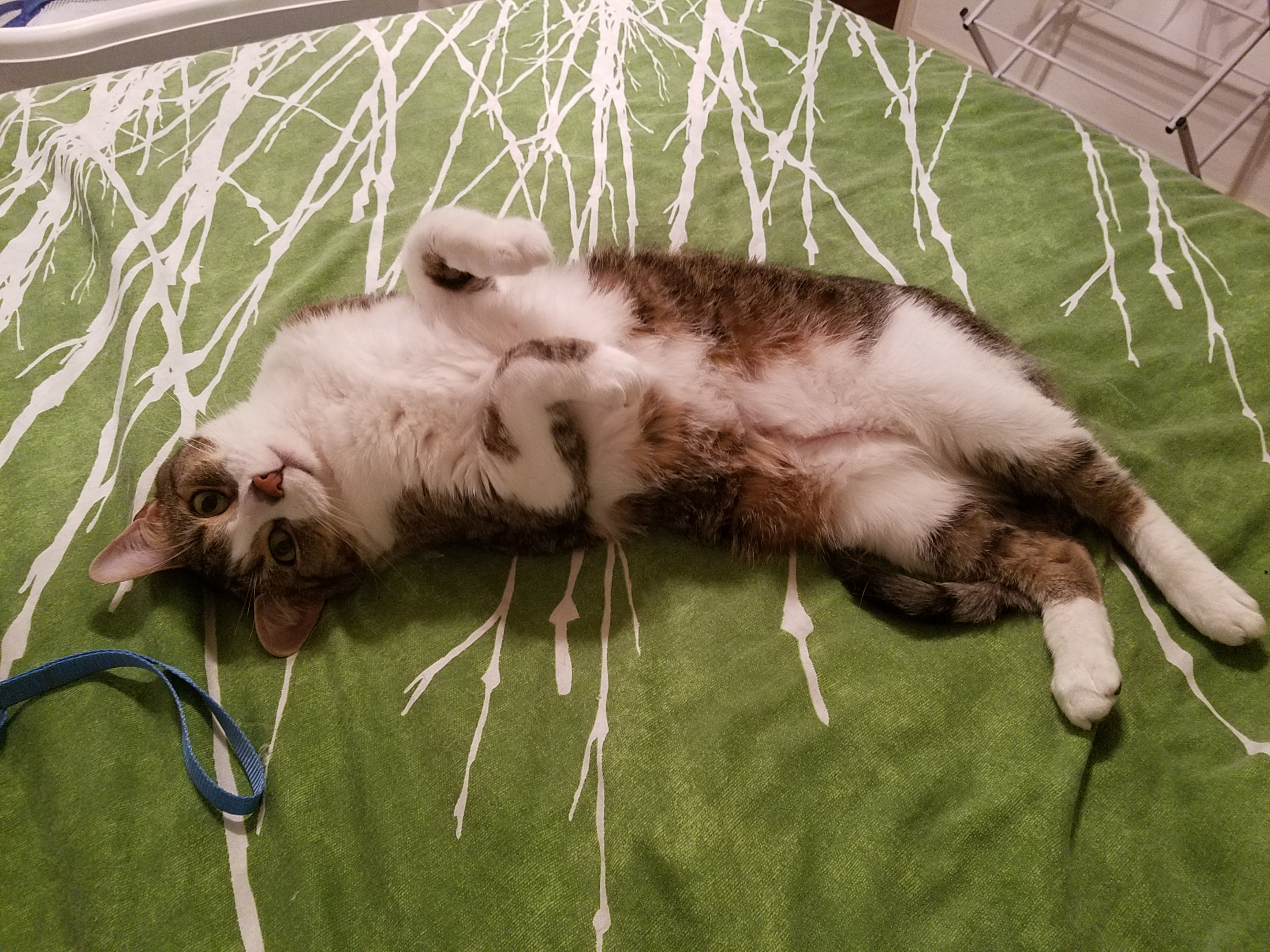 user avatar image for Karen