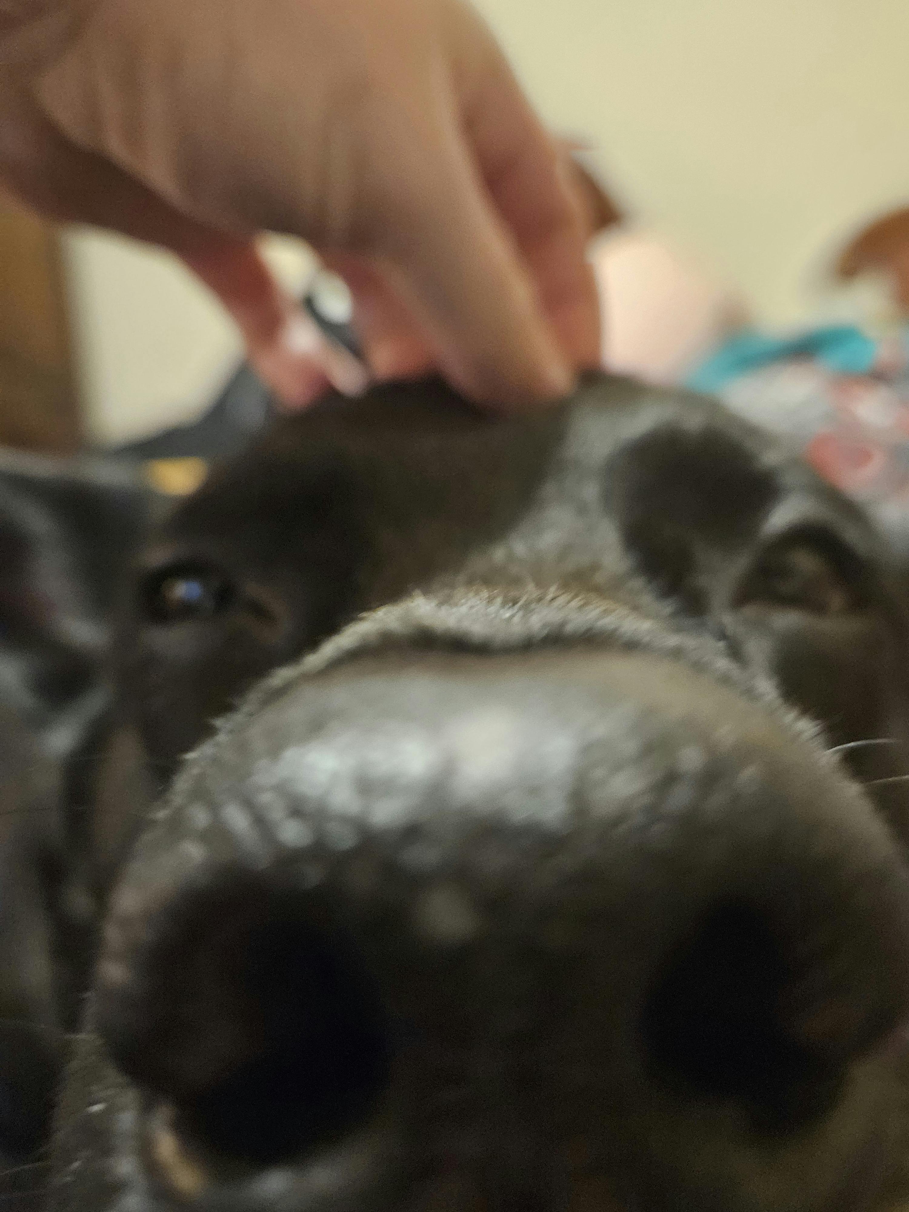 user avatar image for Percival Compton