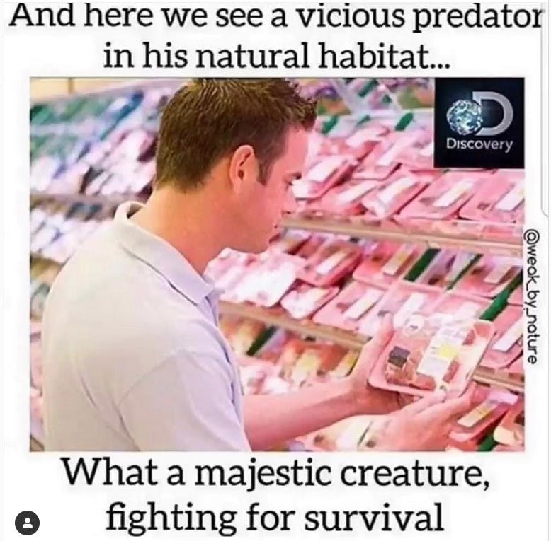 user avatar image for Sergio Sierra