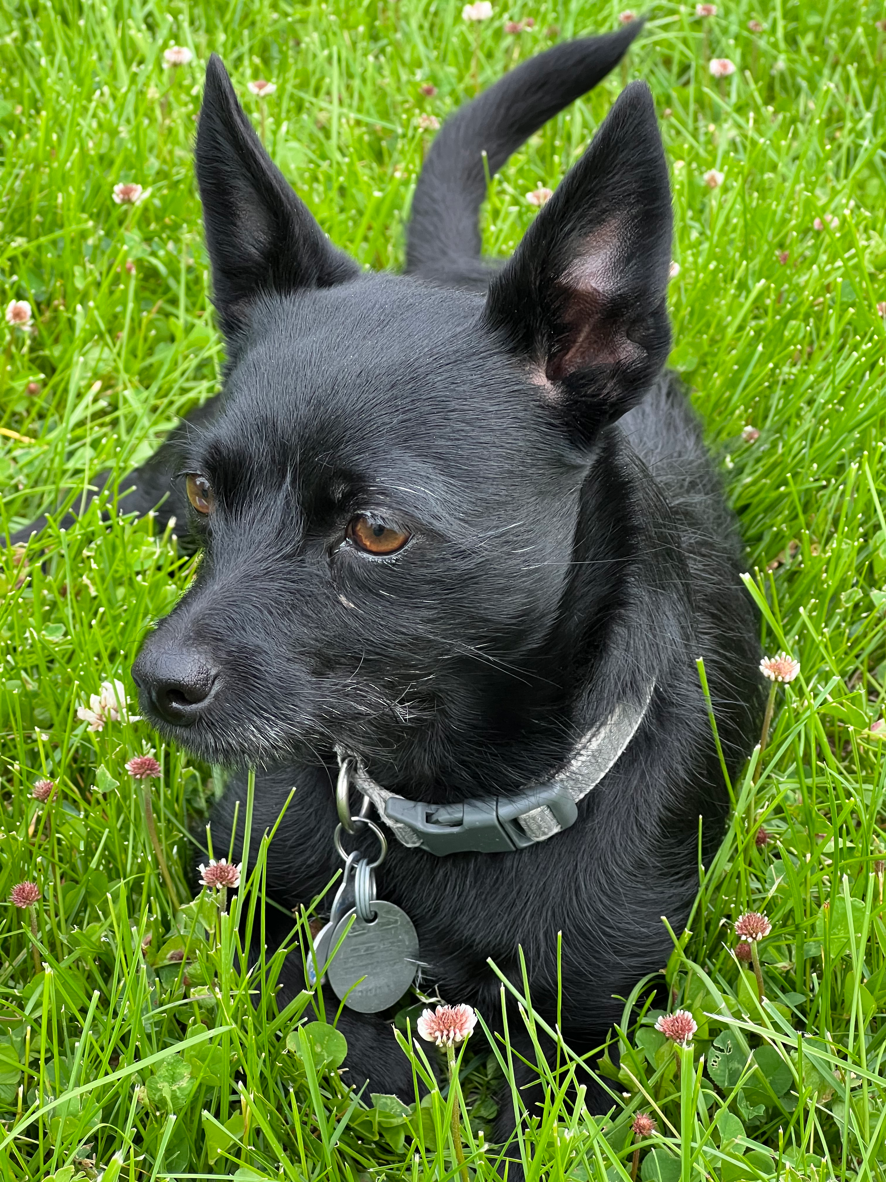 user avatar image for Sean Tucker