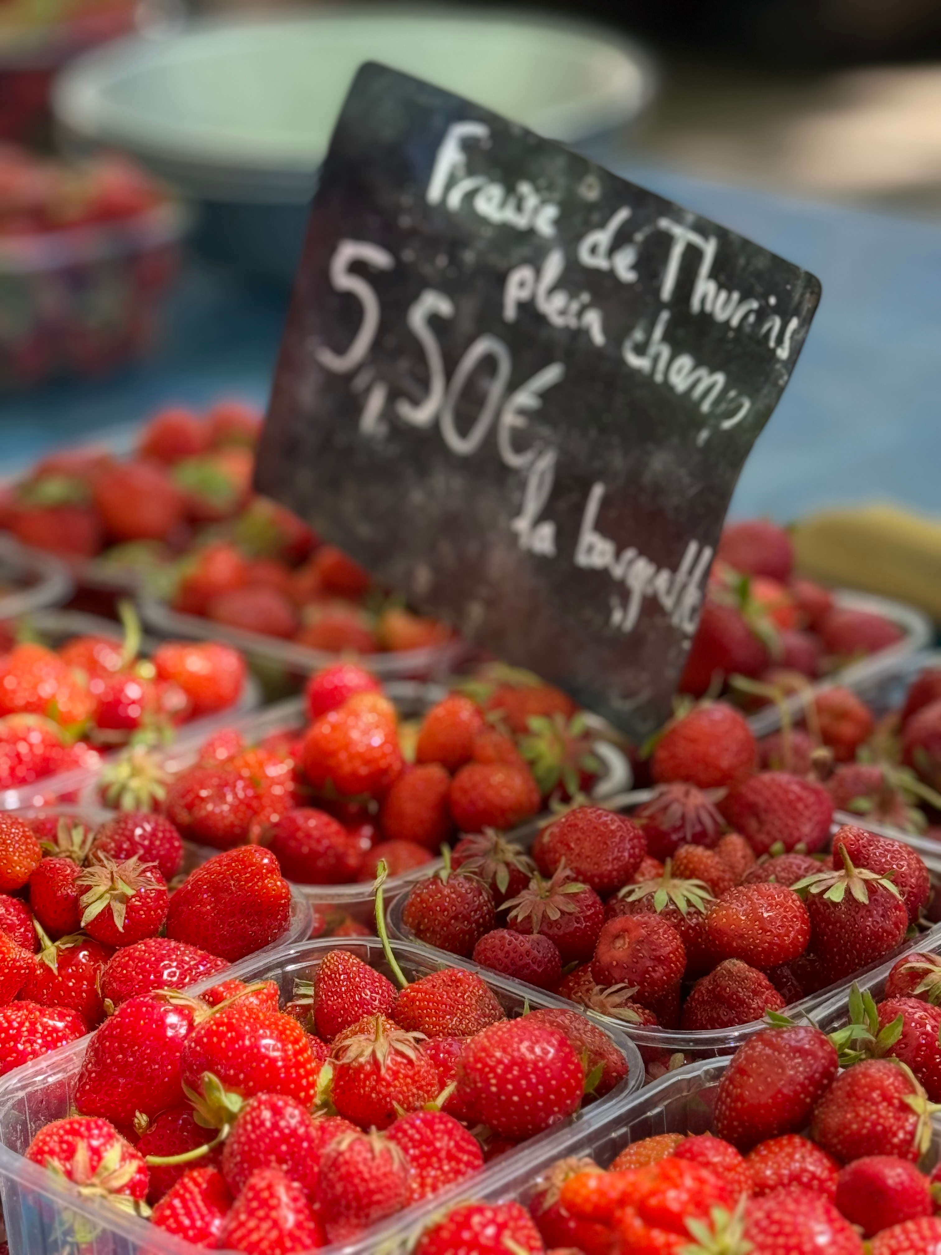 user avatar image for Sarah S