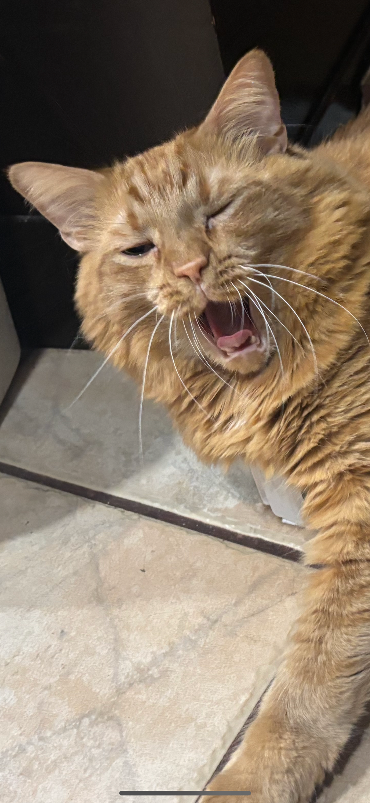 user avatar image for SkullRiderz