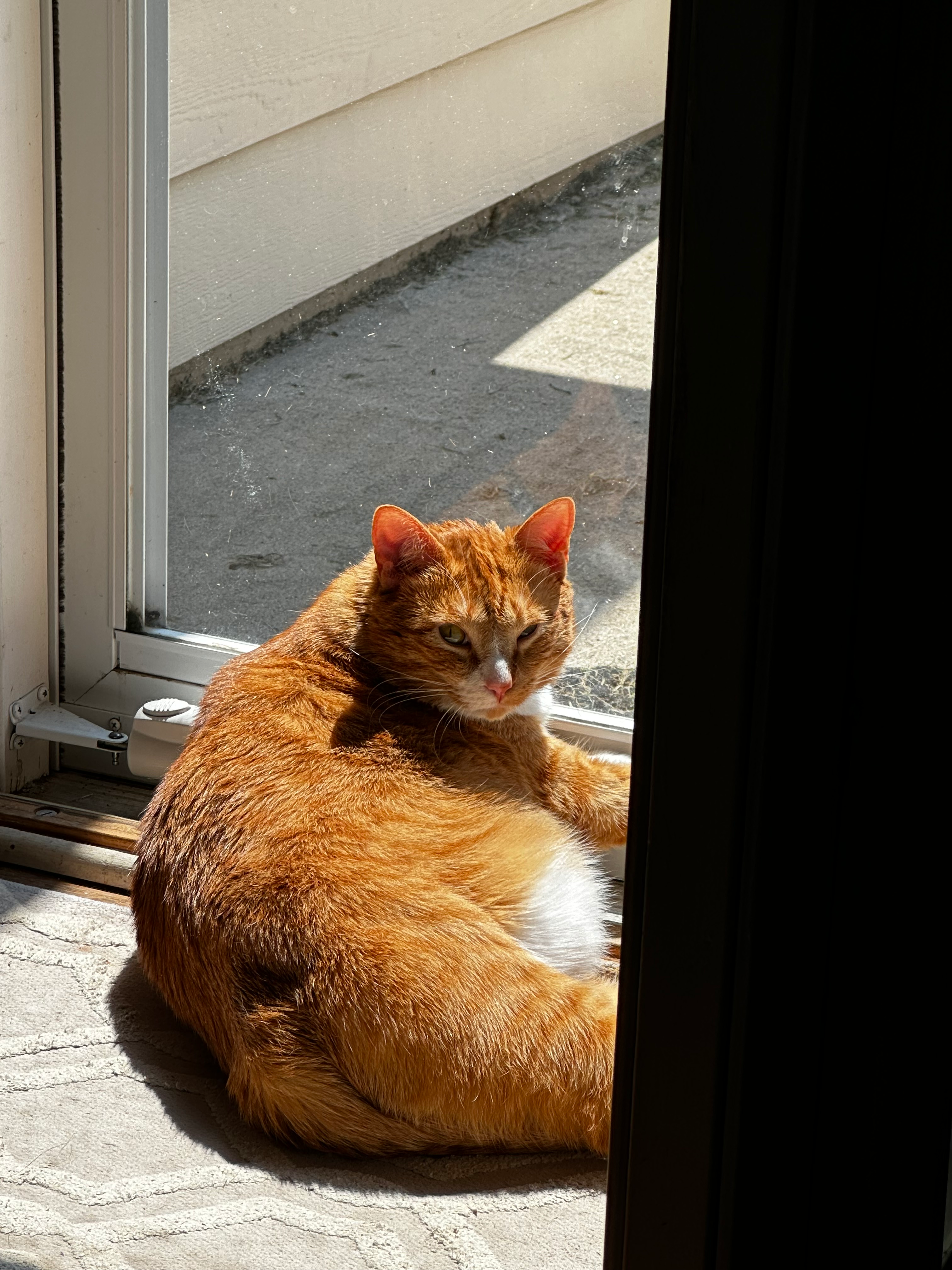 user avatar image for Kathy