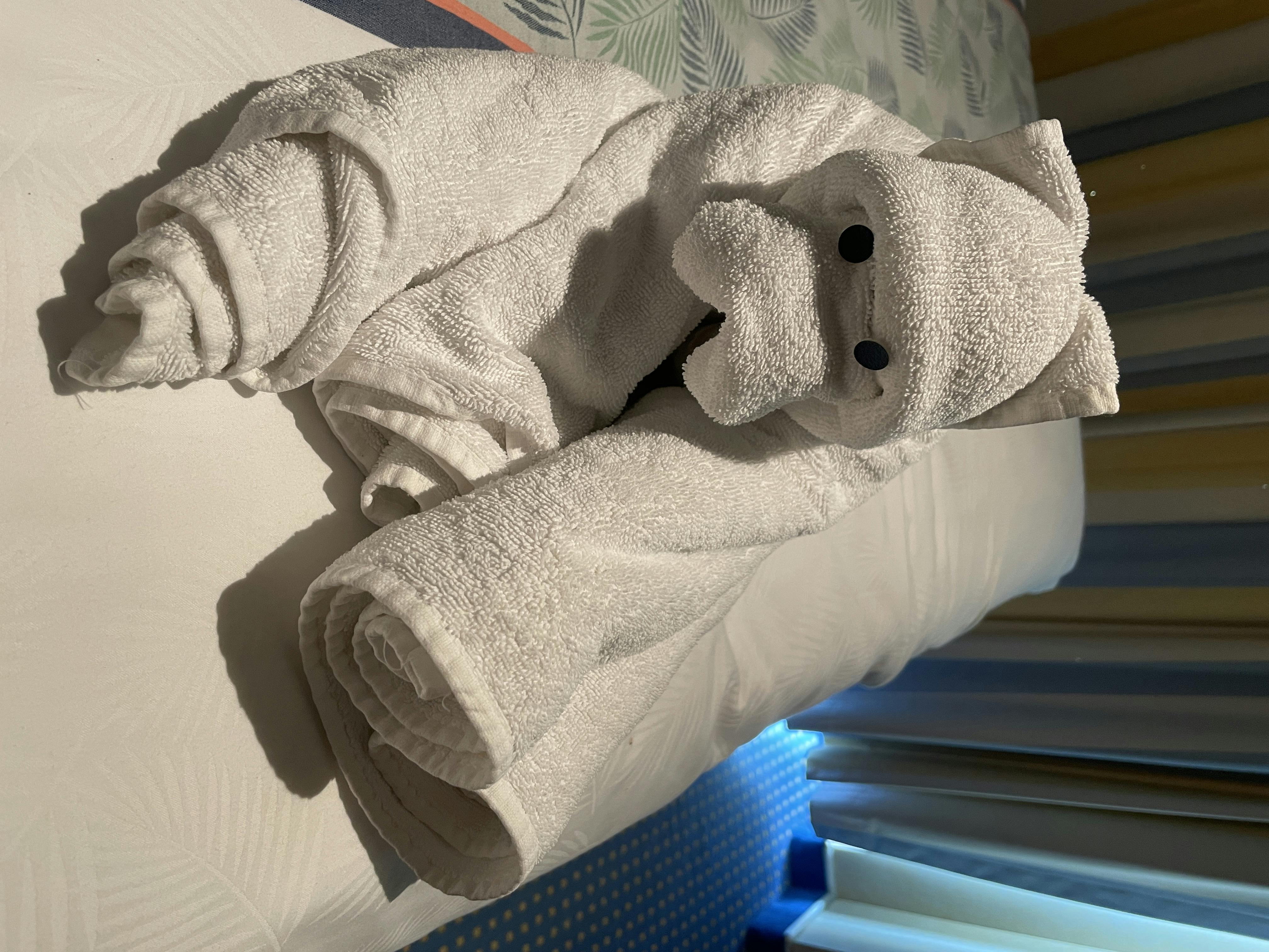 user avatar image for Scott Douwes