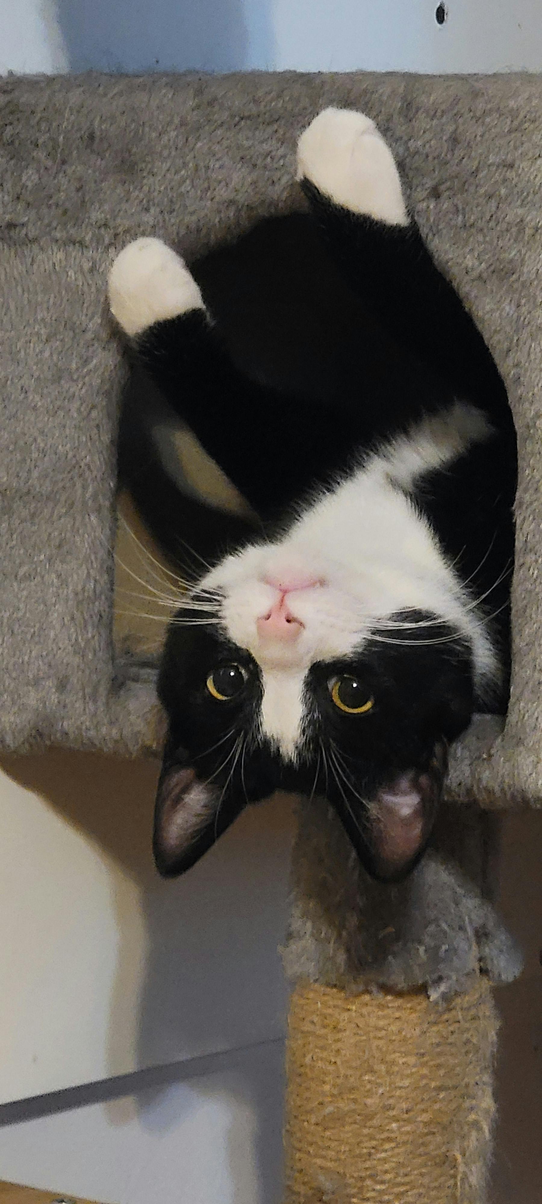 user avatar image for Clair Graves 