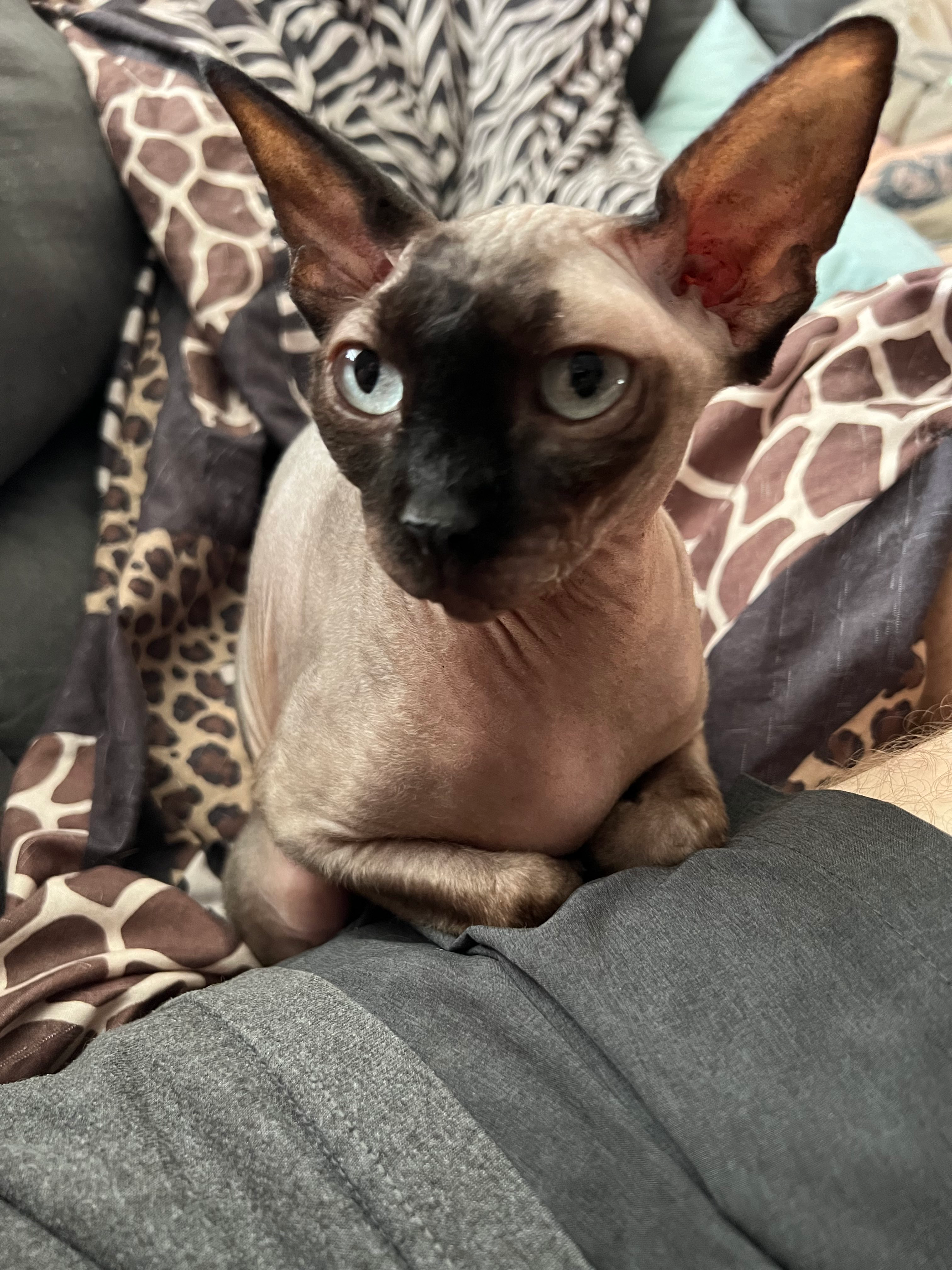 user avatar image for Vincent Fisher