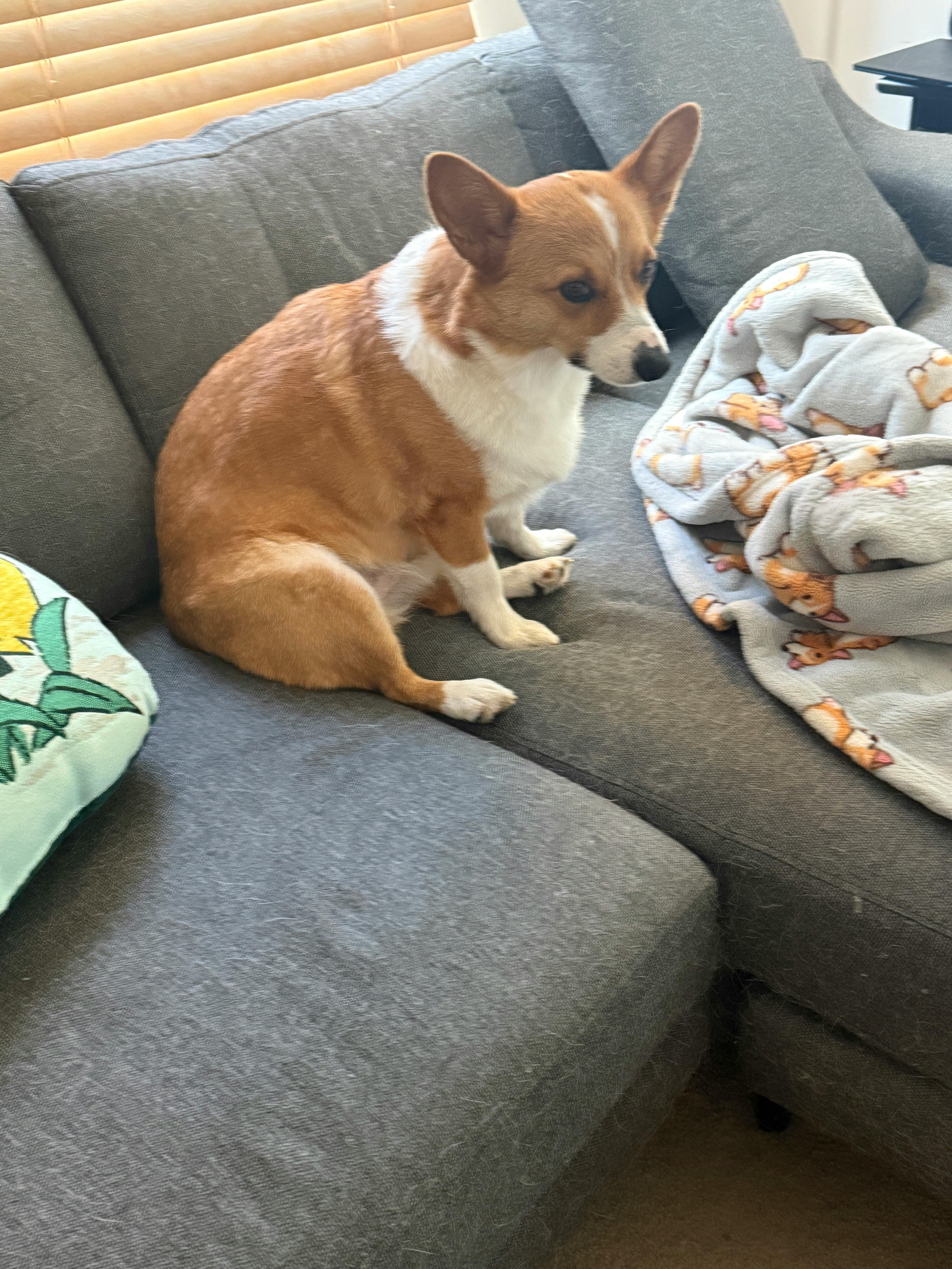 user avatar image for V W