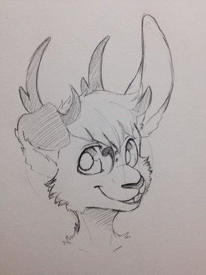 user avatar image for Kohta