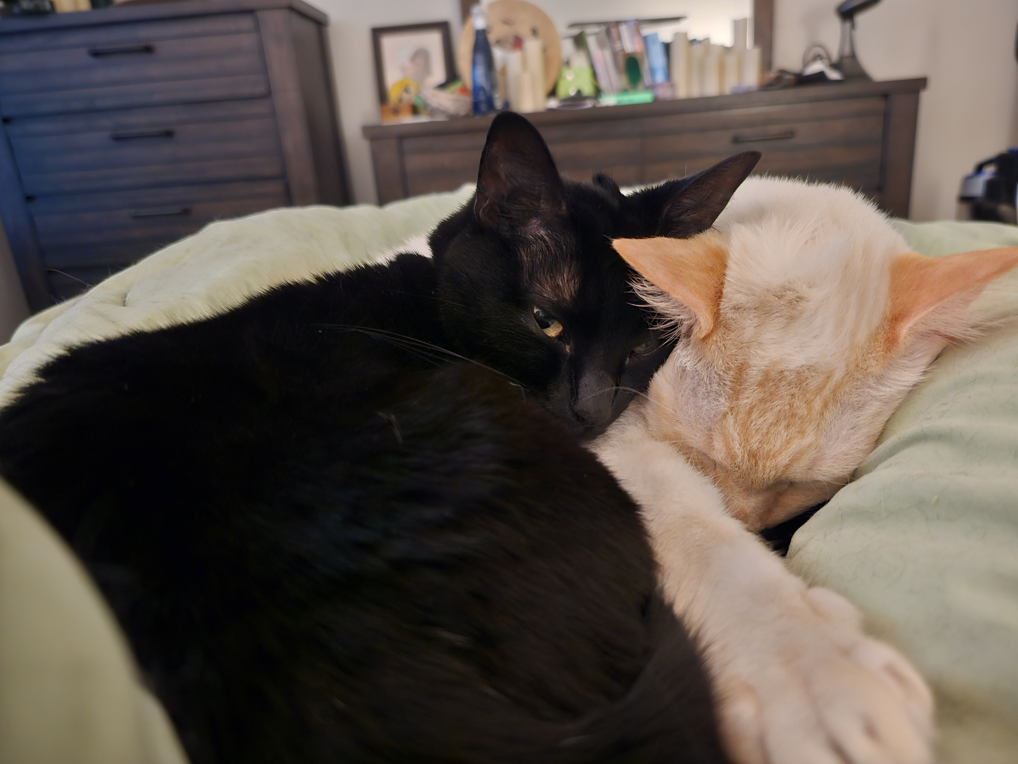 user avatar image for Jennifer