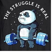 user avatar image for briselame