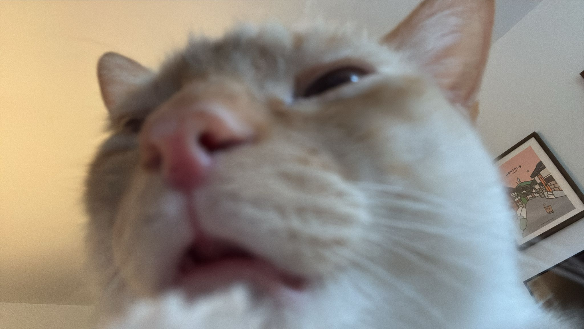 user avatar image for Eme