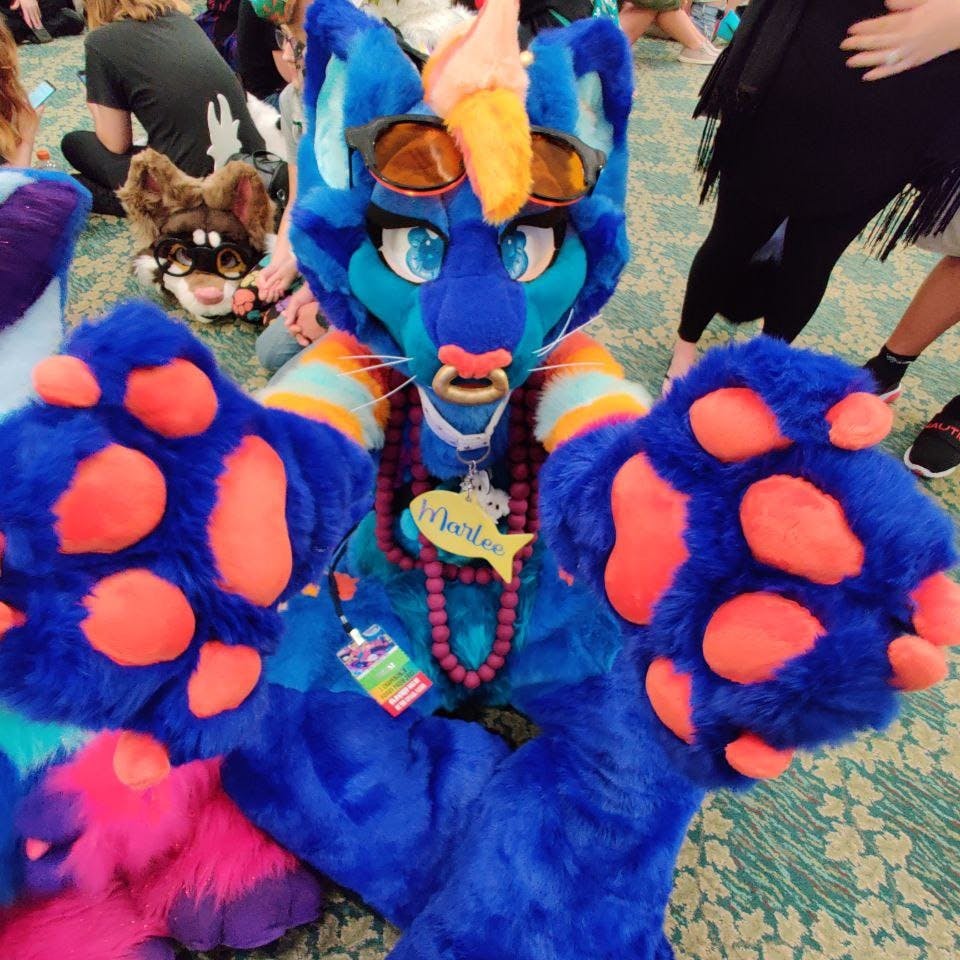 user avatar image for KibaMonster 