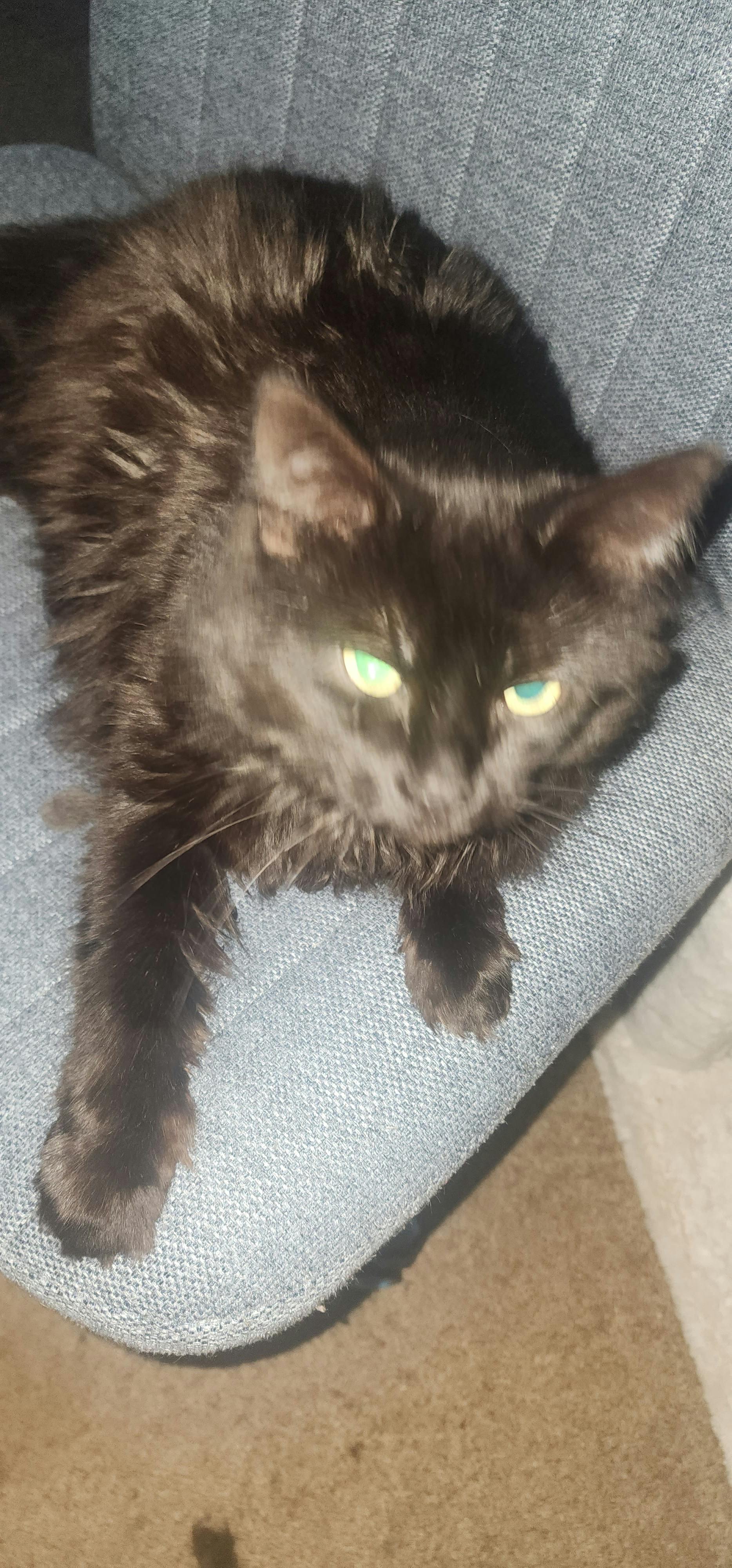 user avatar image for Kayleigh 