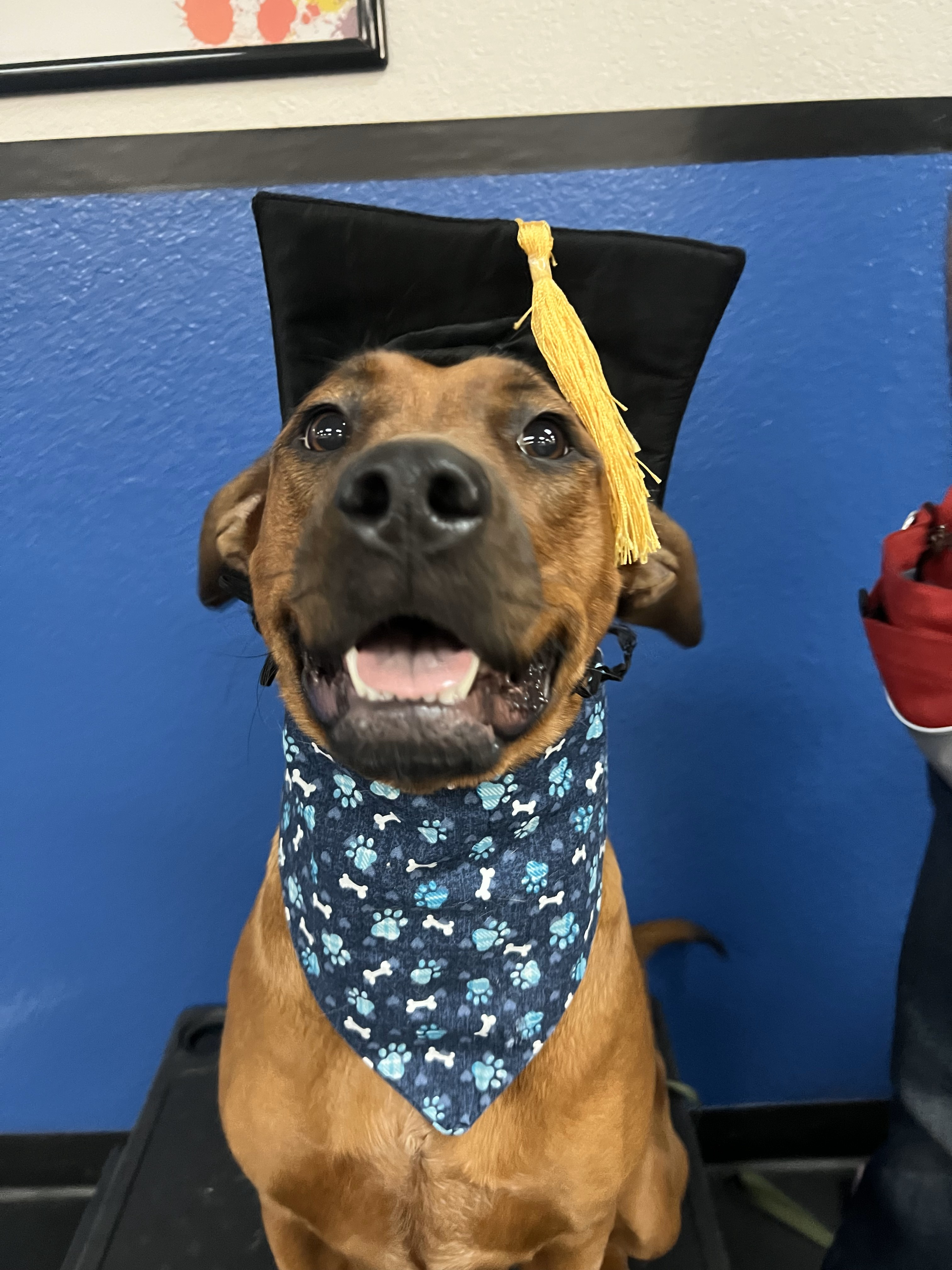 user avatar image for caucasian_samurai