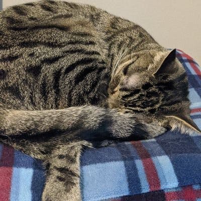 user avatar image for Chris