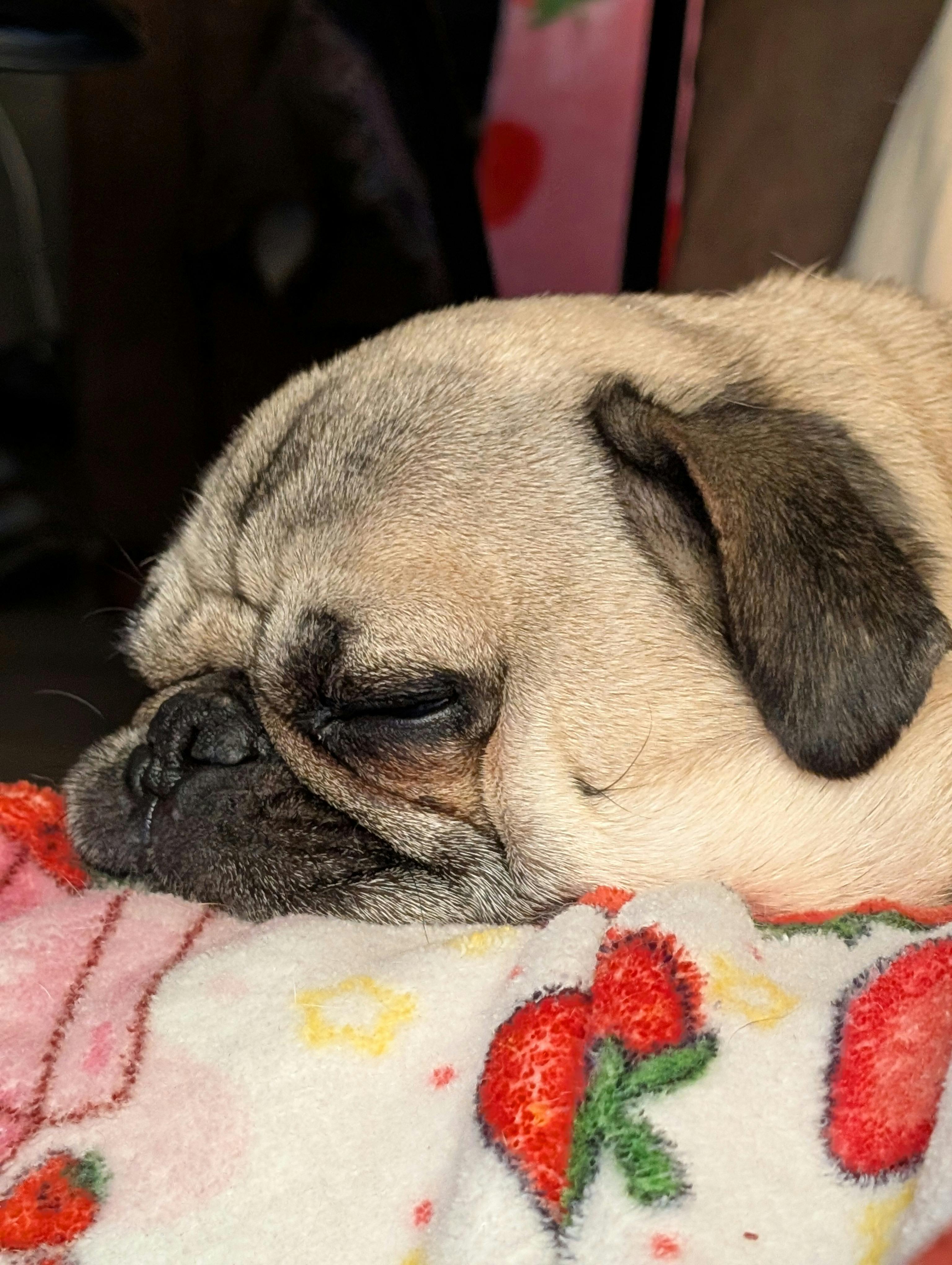 user avatar image for J.Izrafel