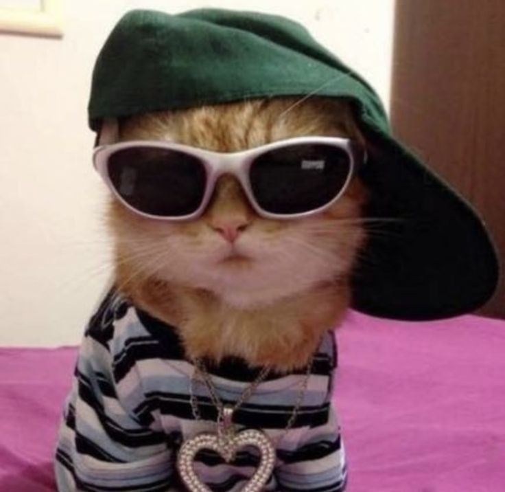 user avatar image for A