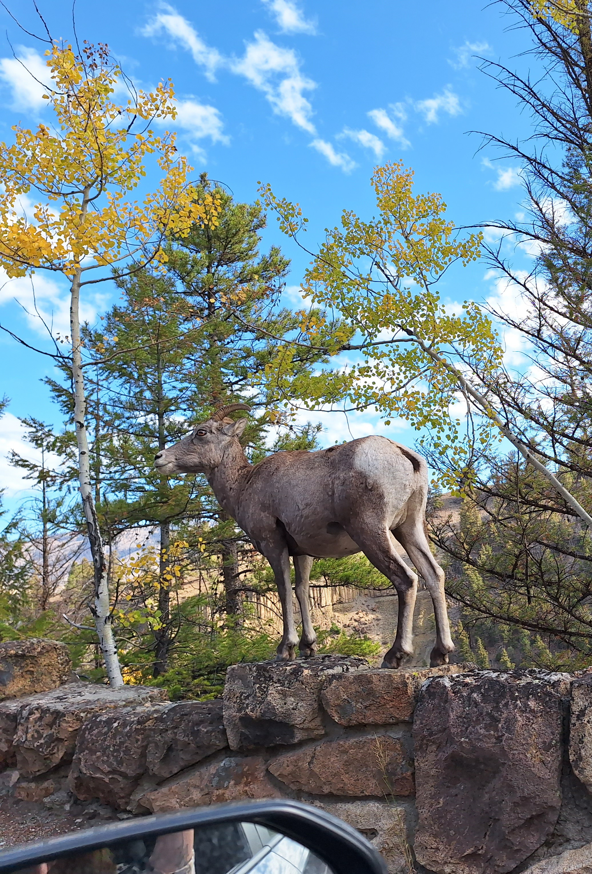 user avatar image for Caroline O'Neal