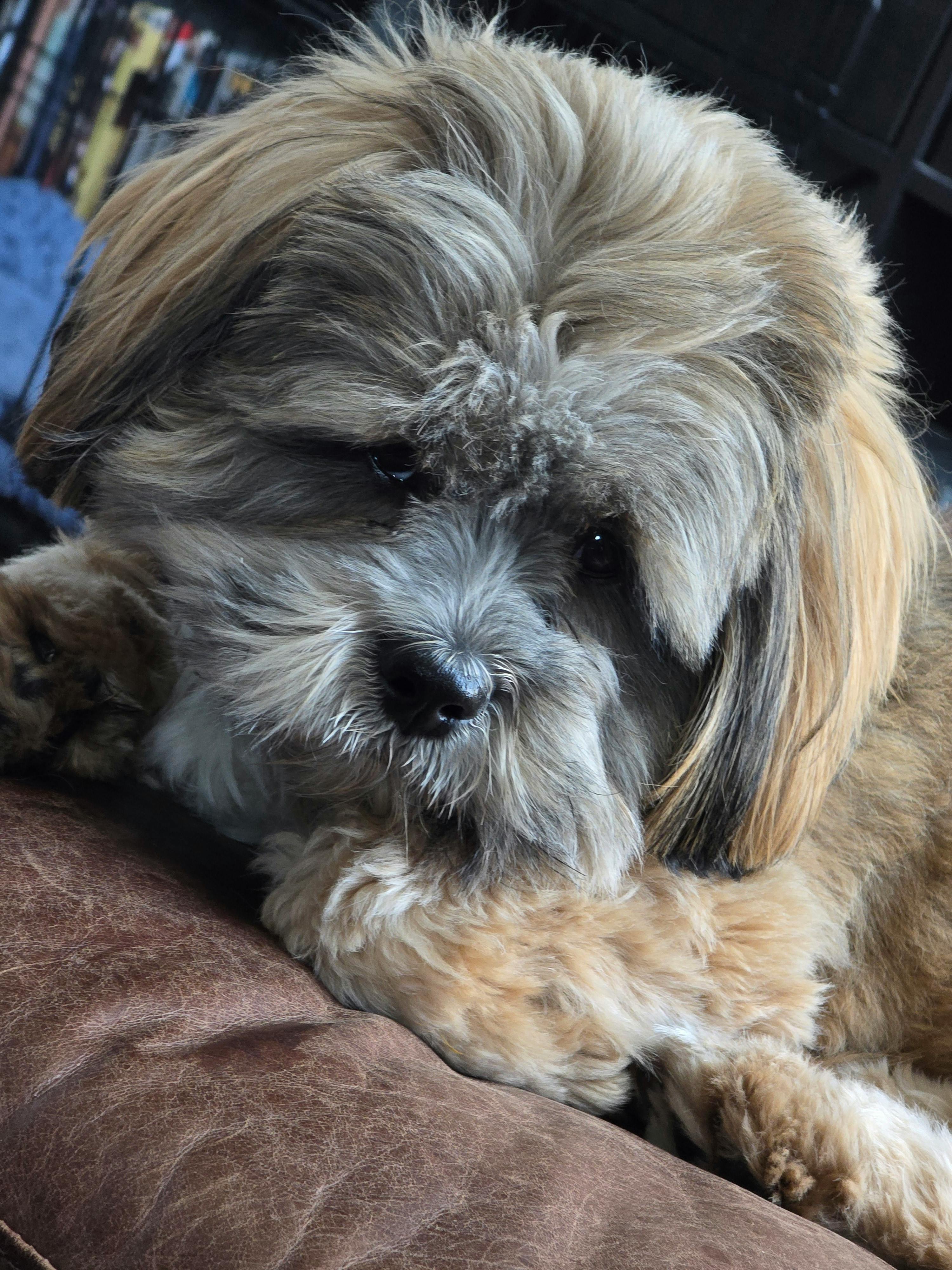 user avatar image for Nicole Sunde