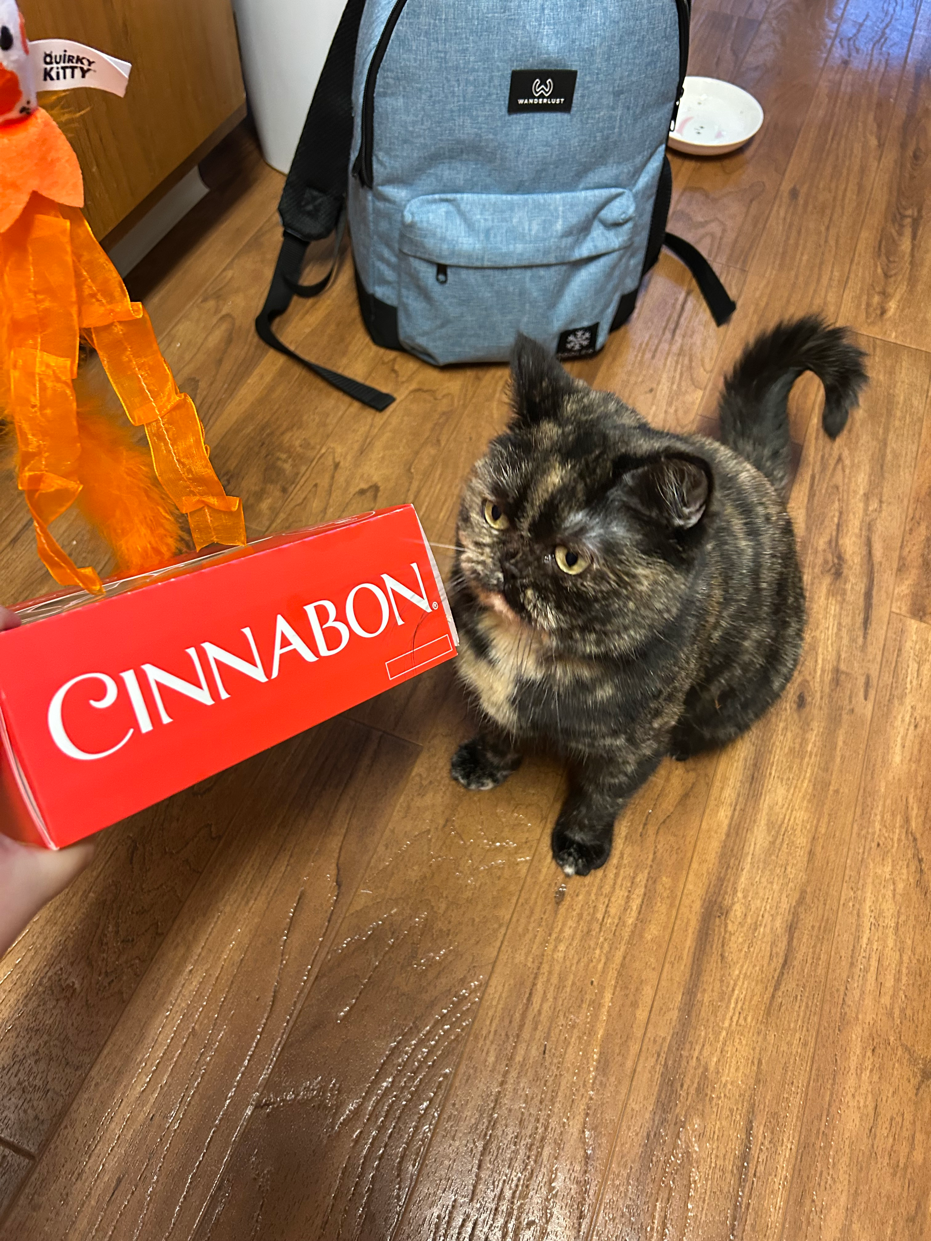 user avatar image for Sophia 