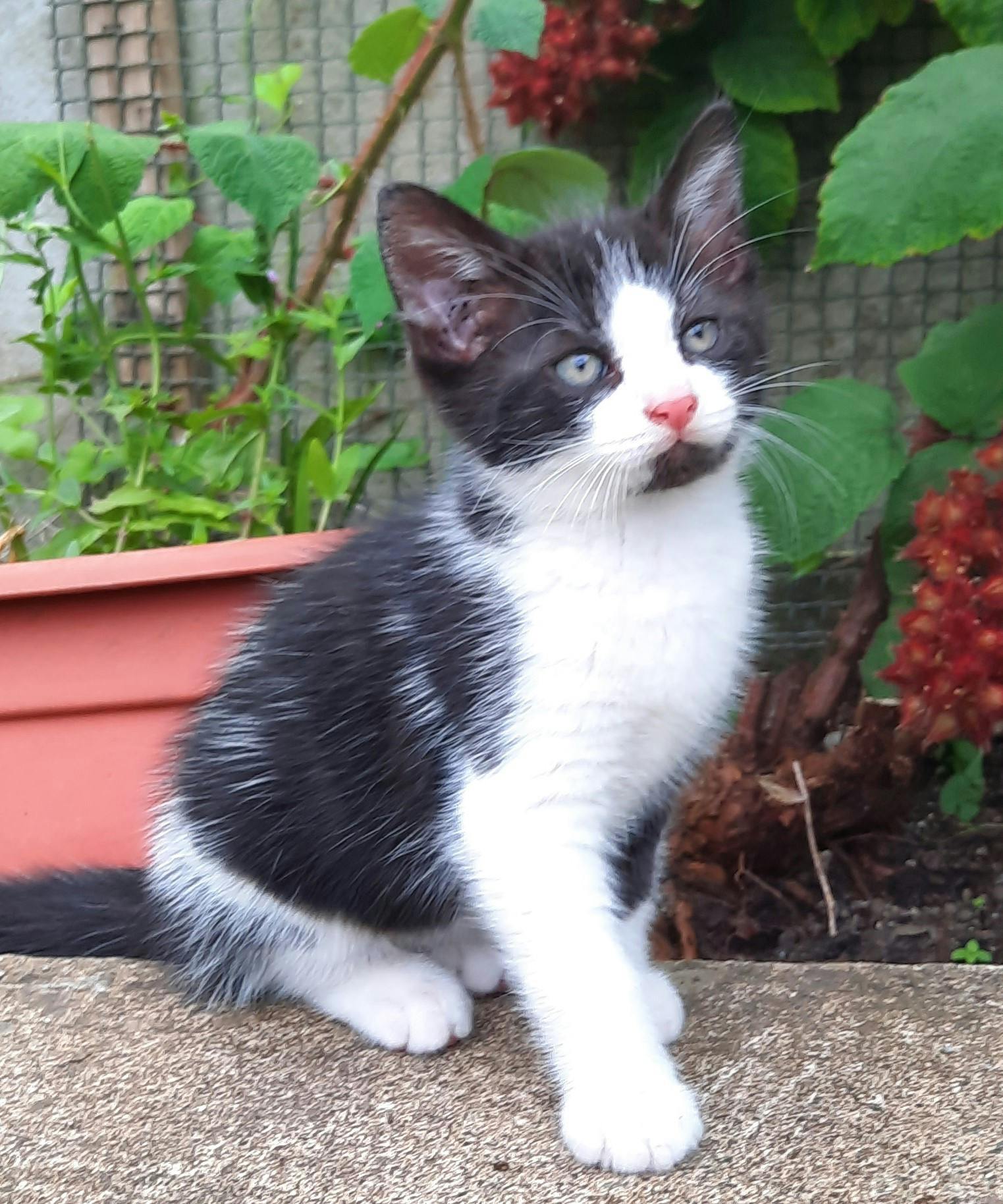 user avatar image for ClonAhmon