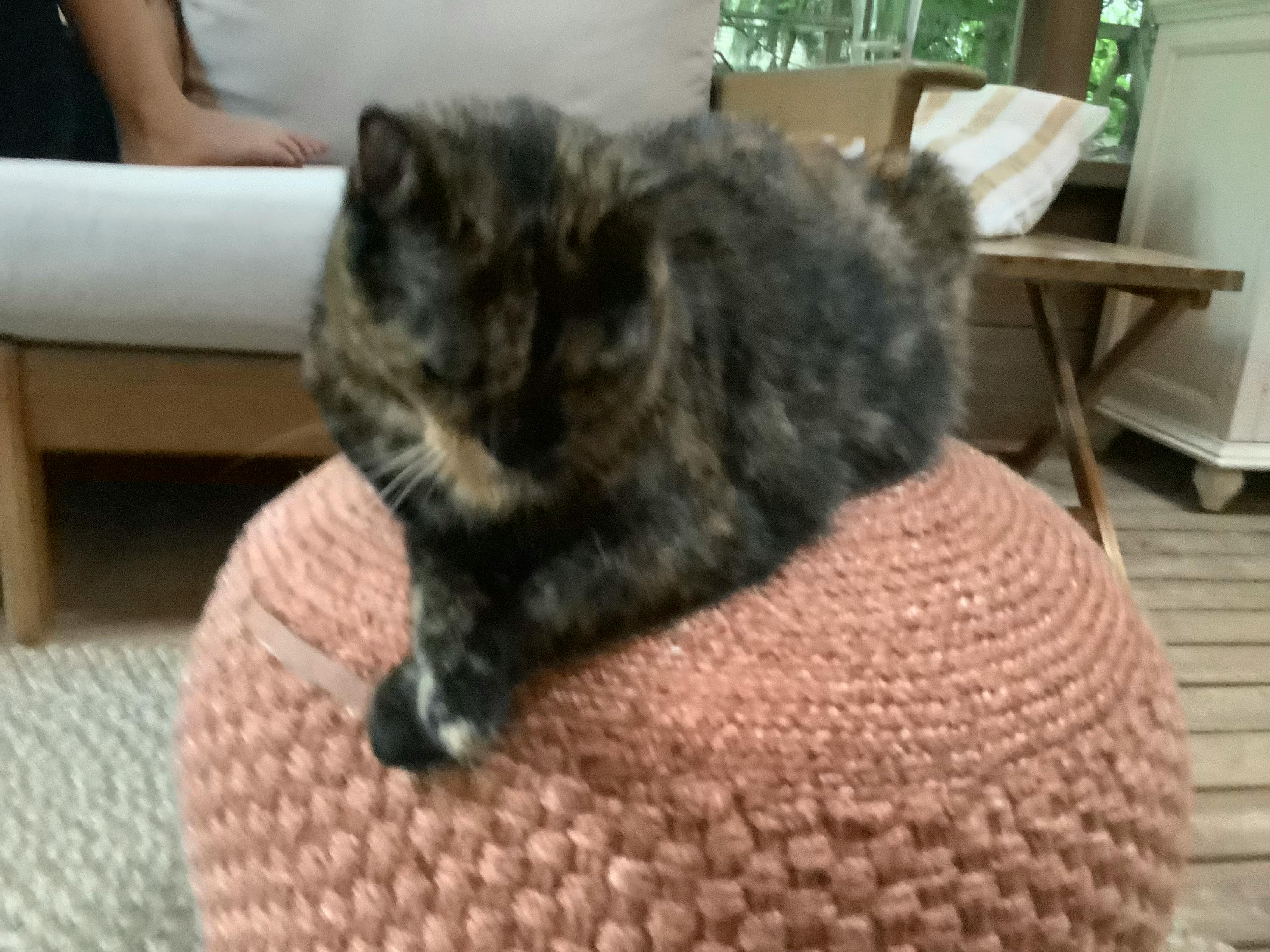 user avatar image for Sirius