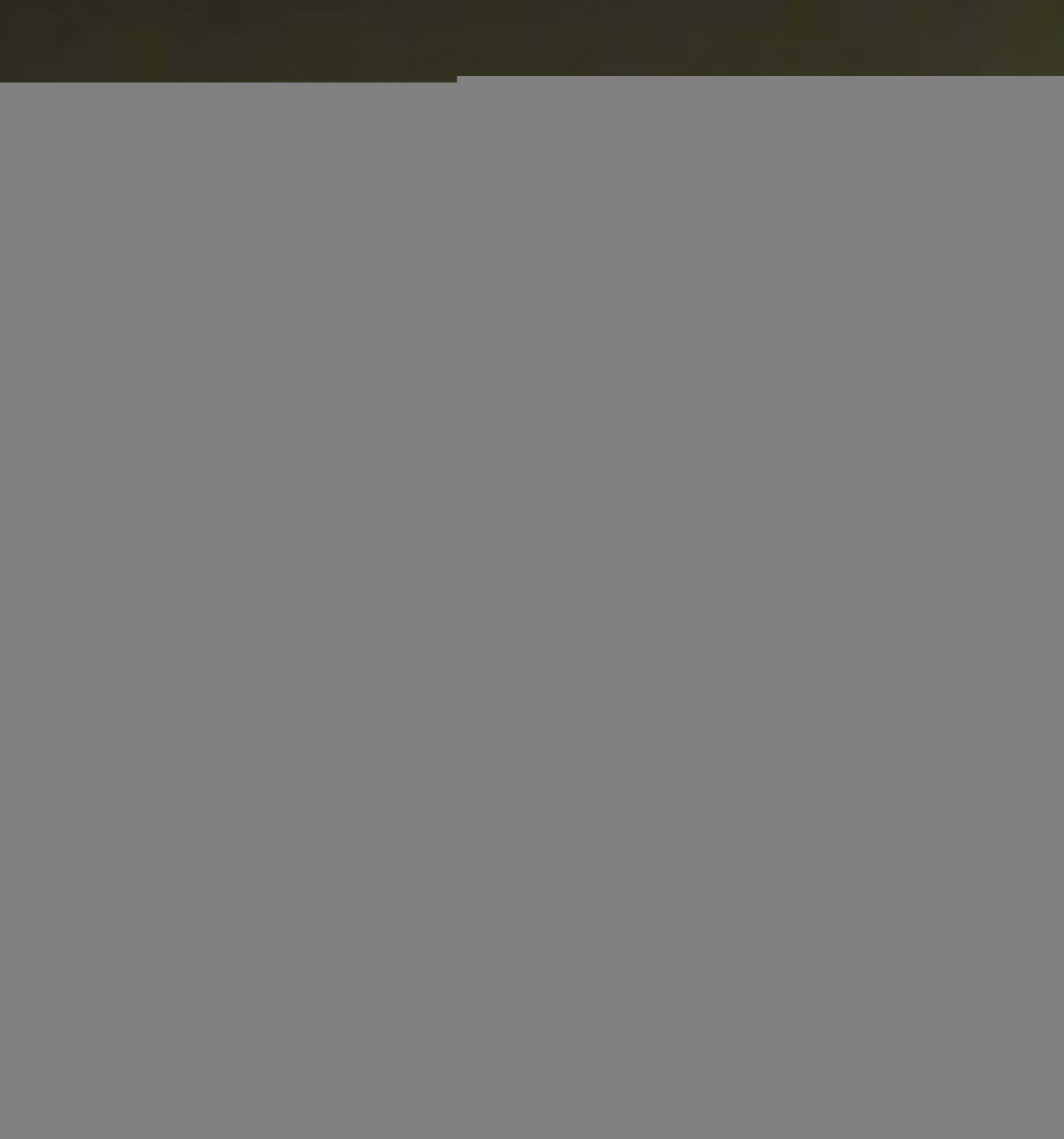 user avatar image for Gavin Warman