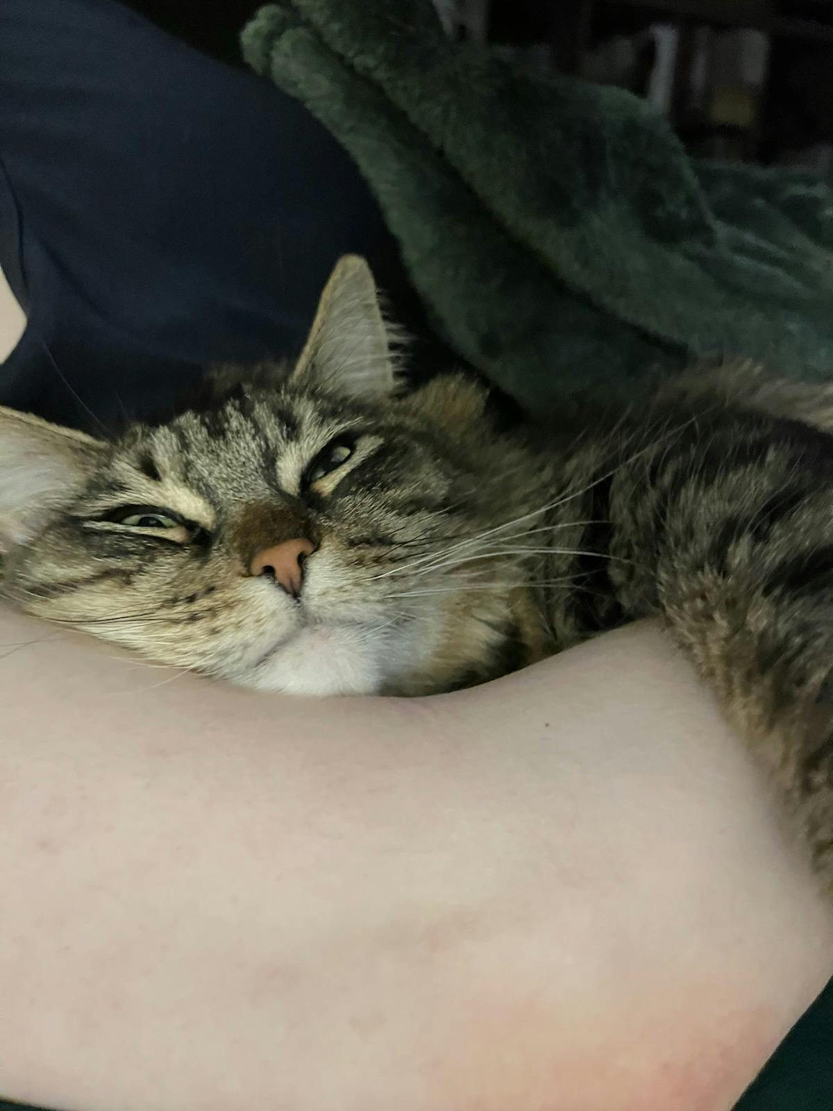 user avatar image for Mary Barzee