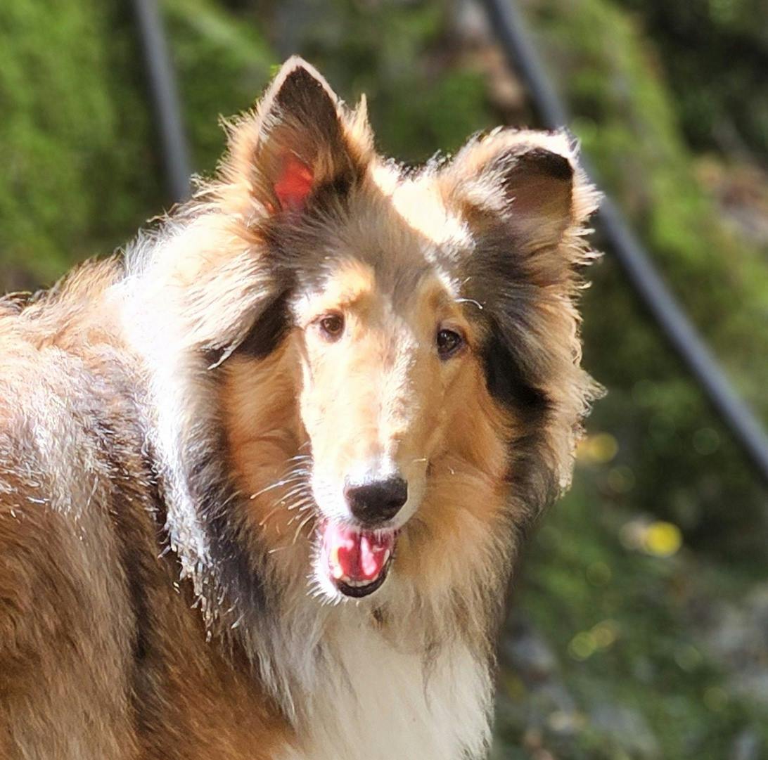 user avatar image for Summer