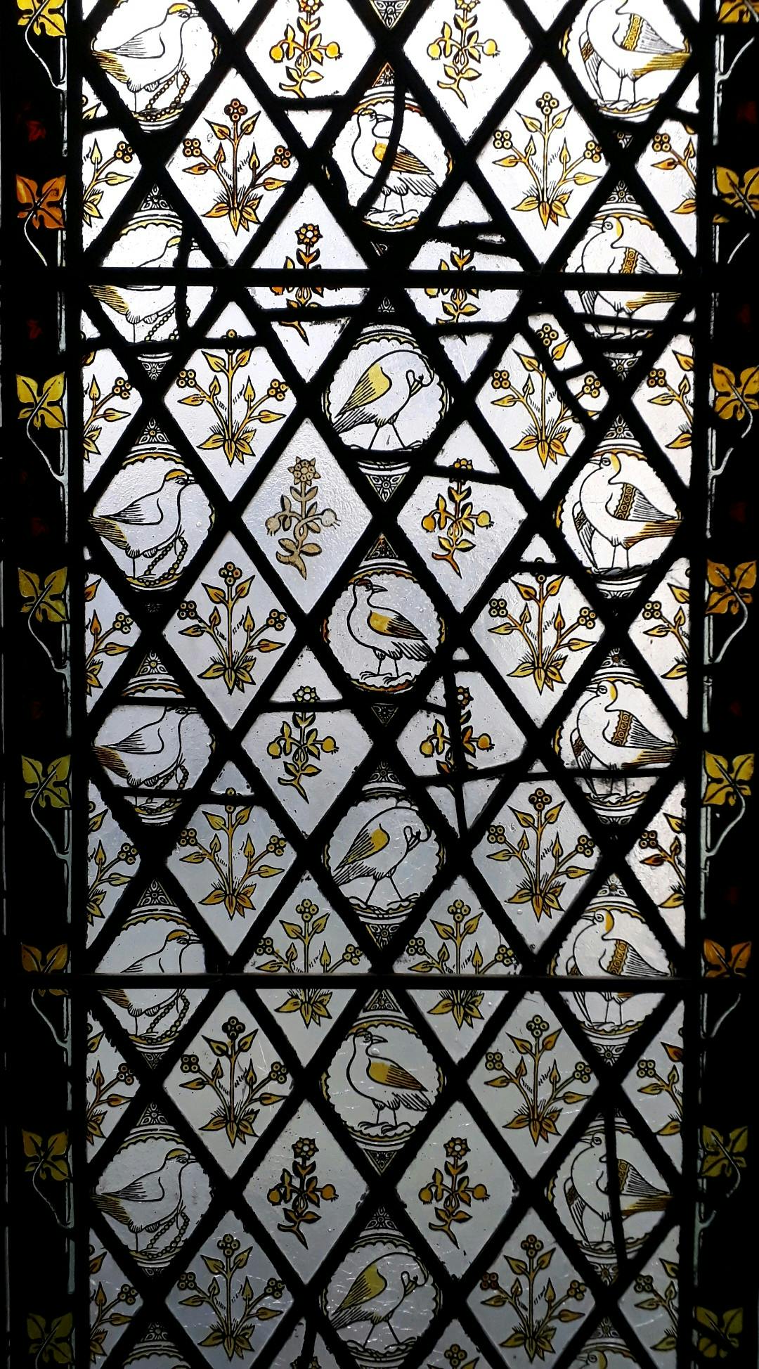 user avatar image for Beth