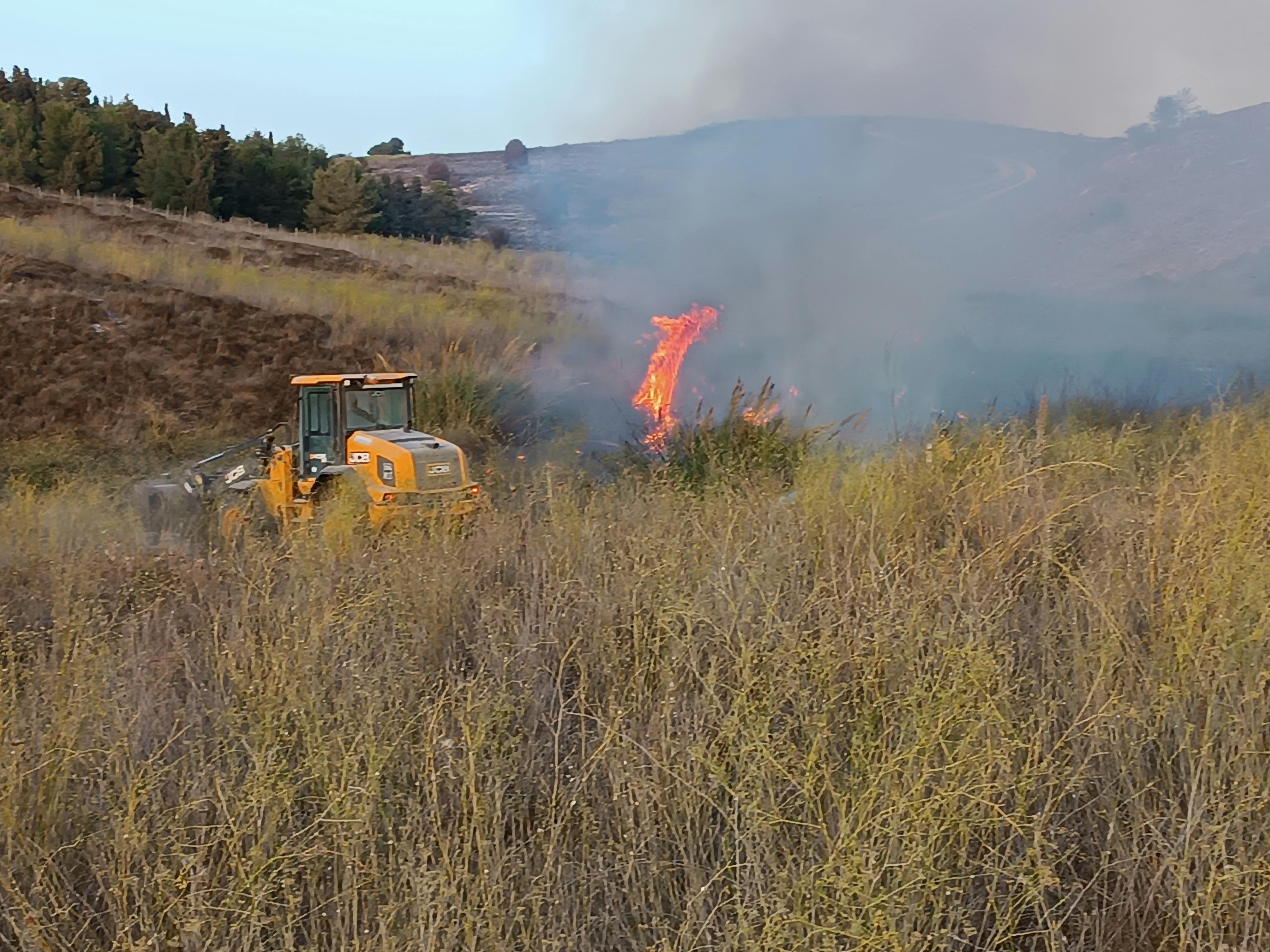 user avatar image for Dani suchecki