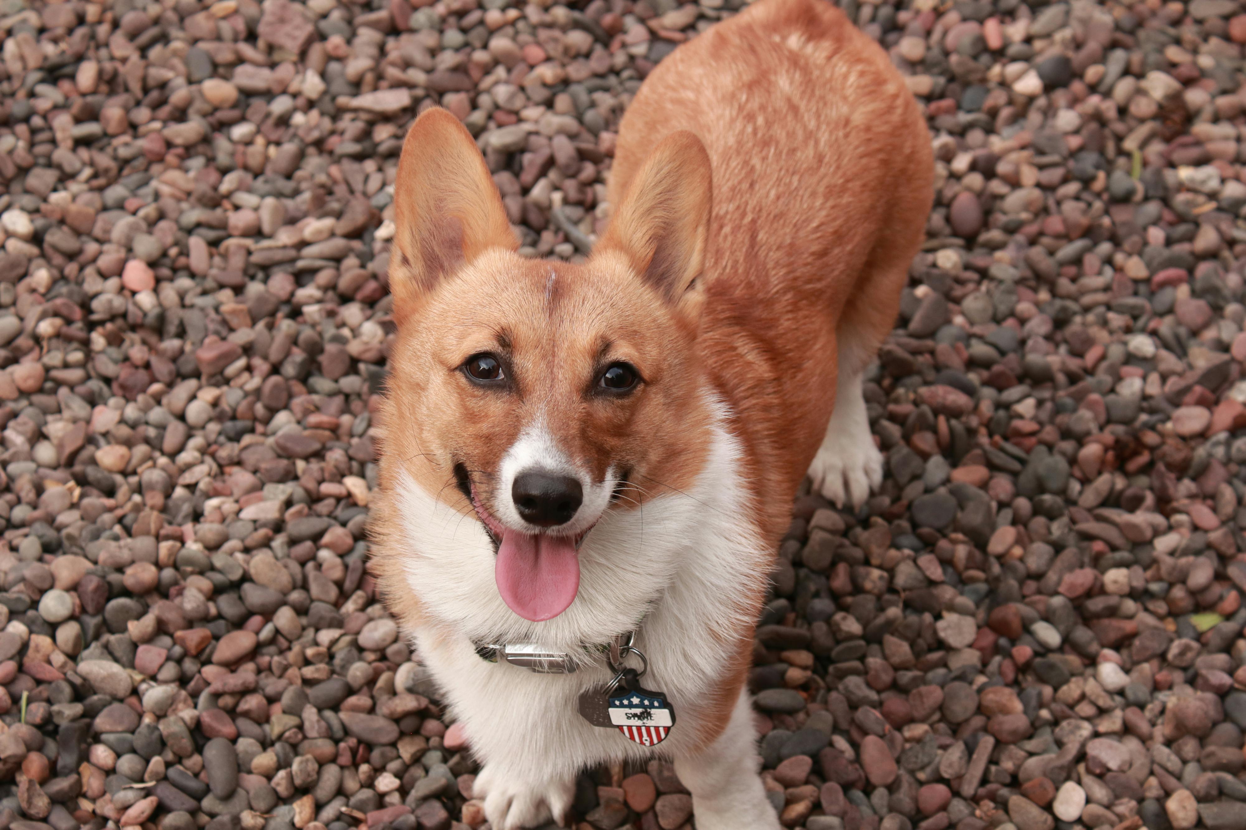 user avatar image for Chris Tomlinson