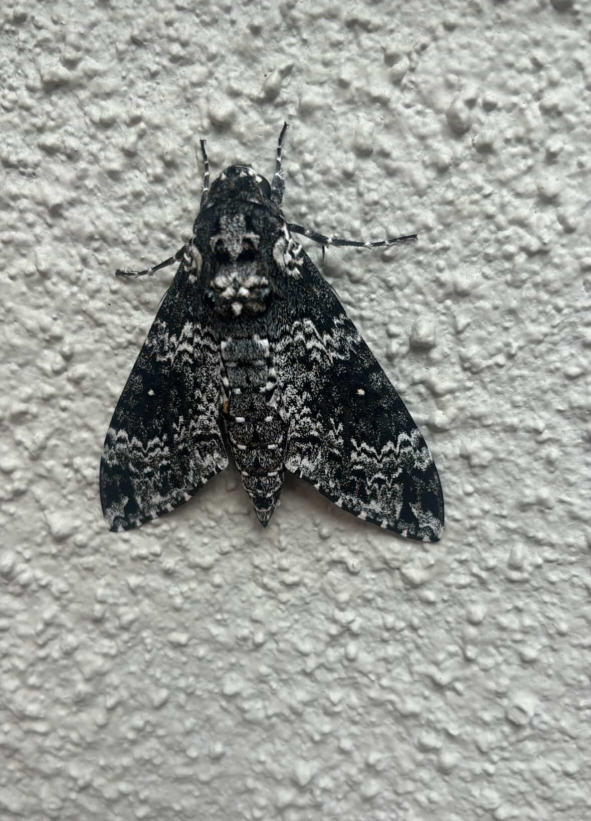 user avatar image for Jorge De Anda