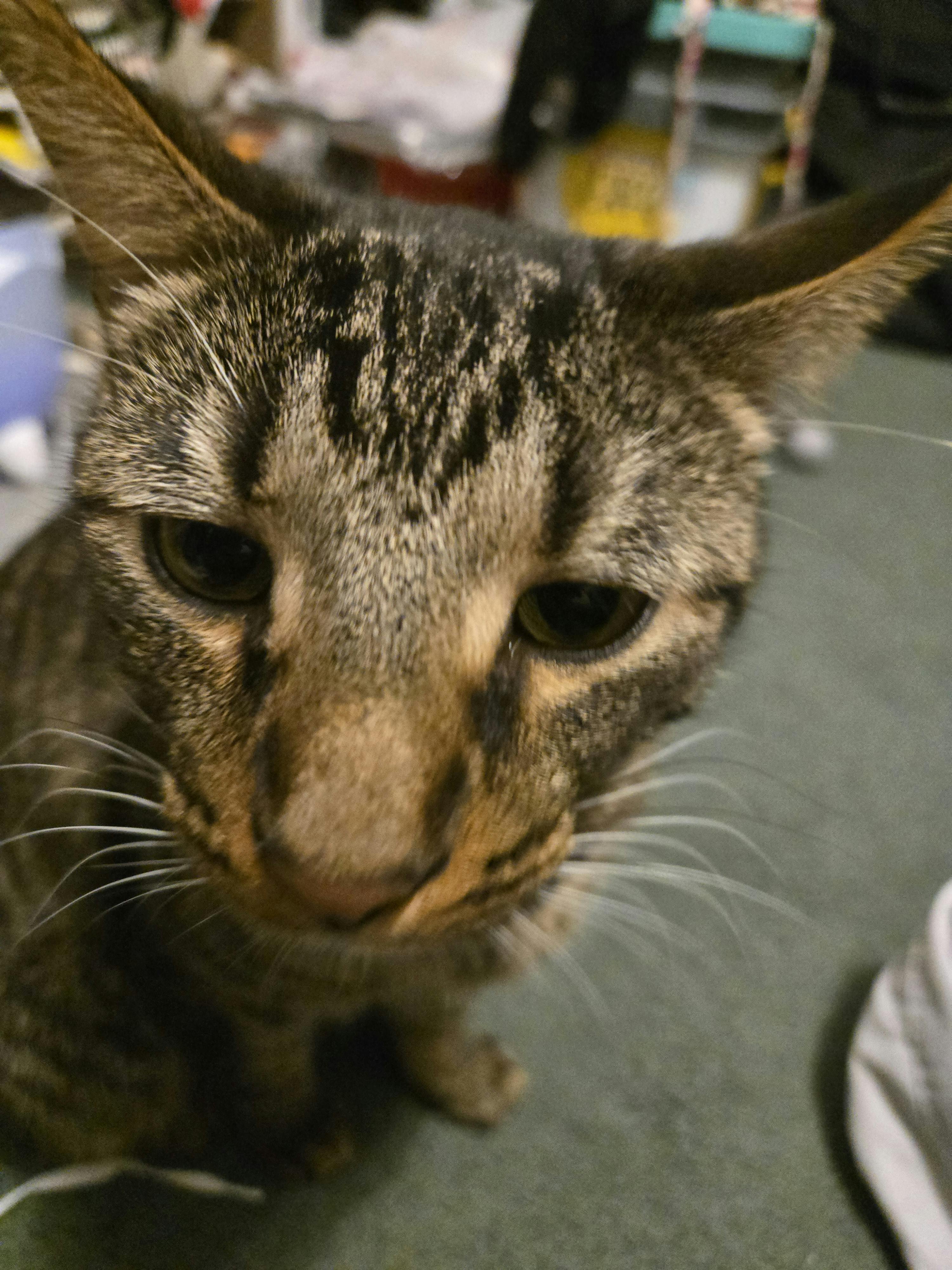 user avatar image for J