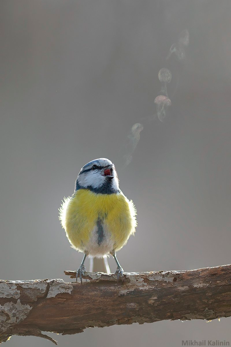 user avatar image for Mary McNamara