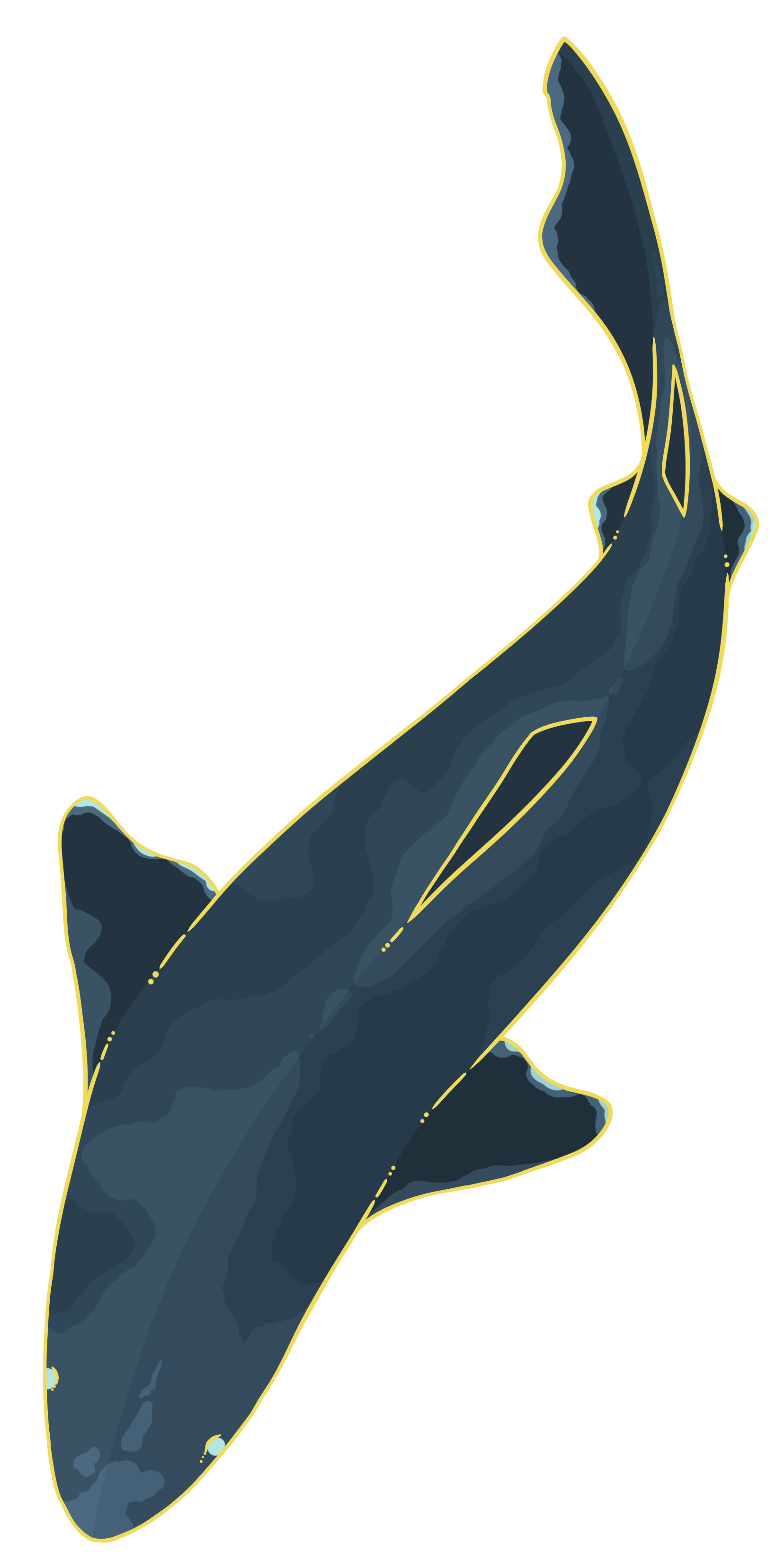 Greenland Shark Critter Pin	