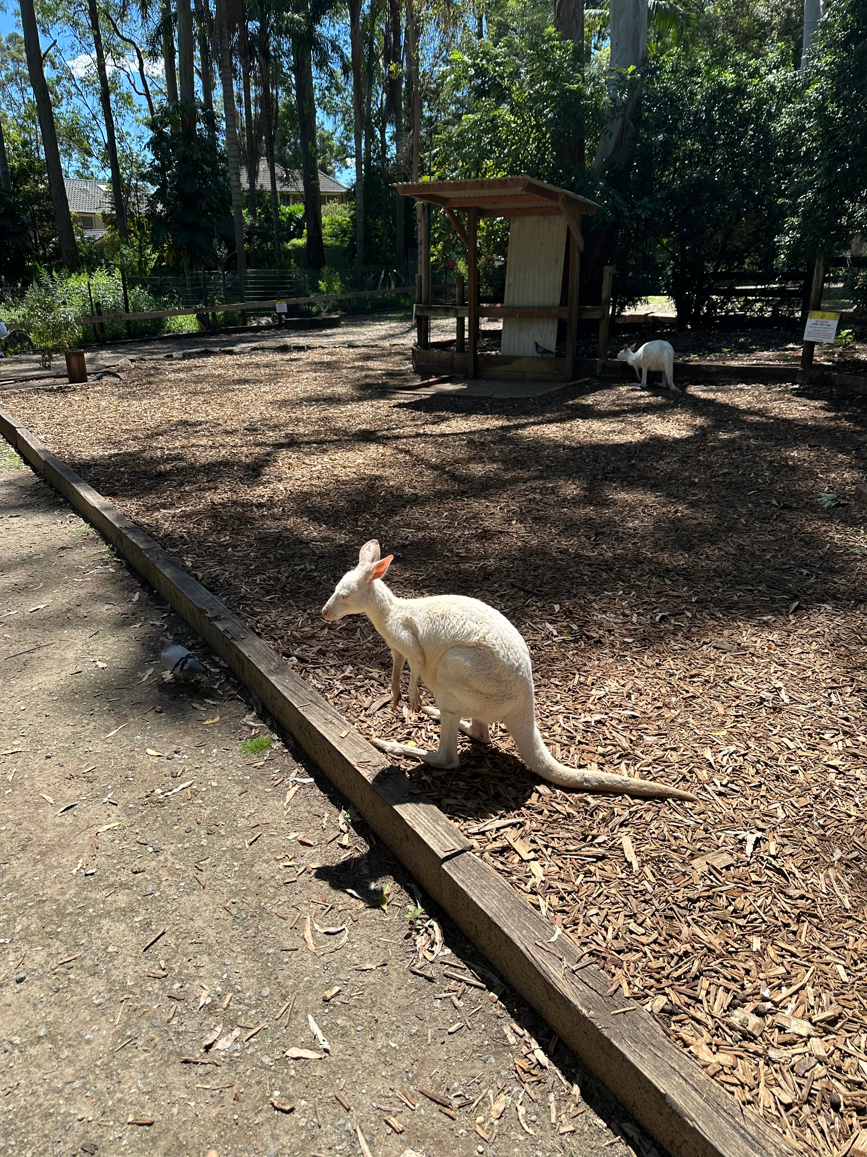 user avatar image for Eideus