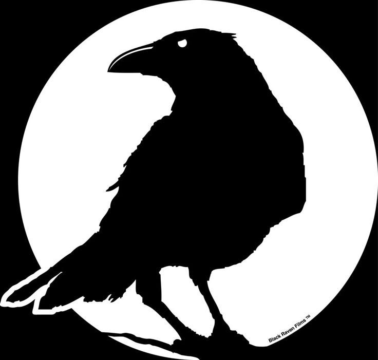 user avatar image for Amy