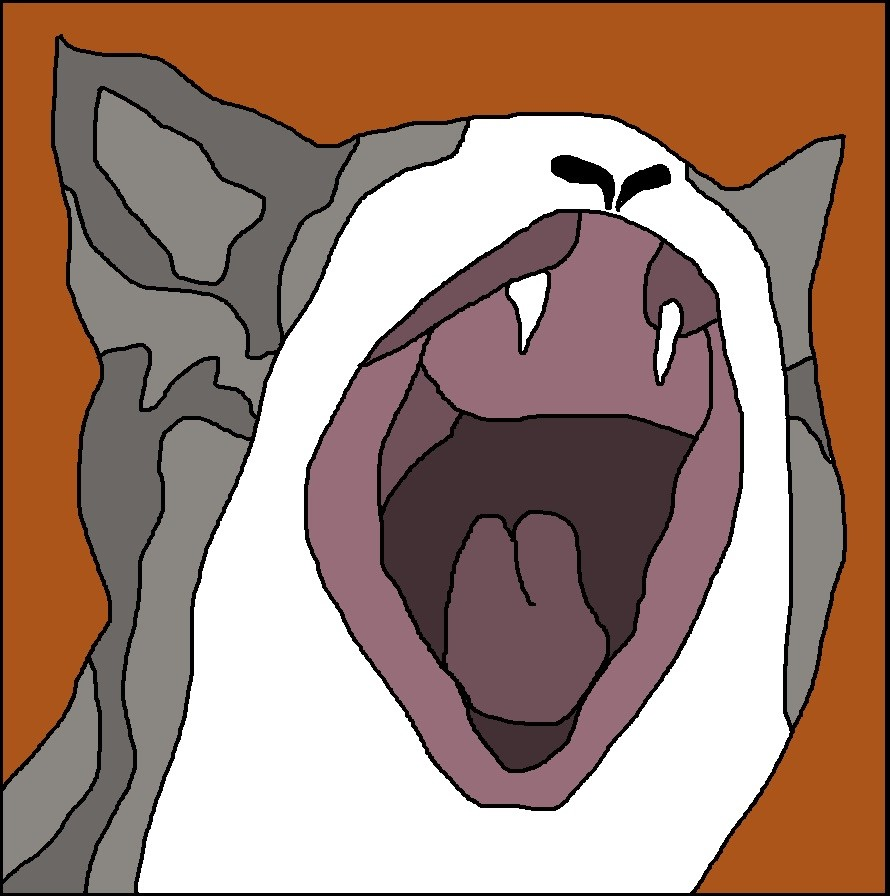 user avatar image for Anthony Romero