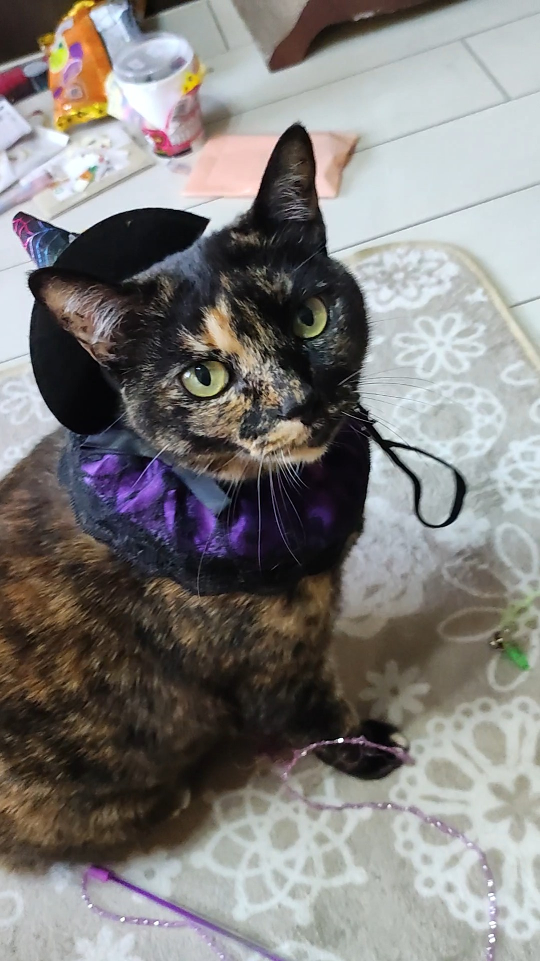 user avatar image for MG