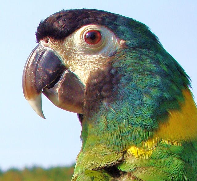 user avatar image for Pearl