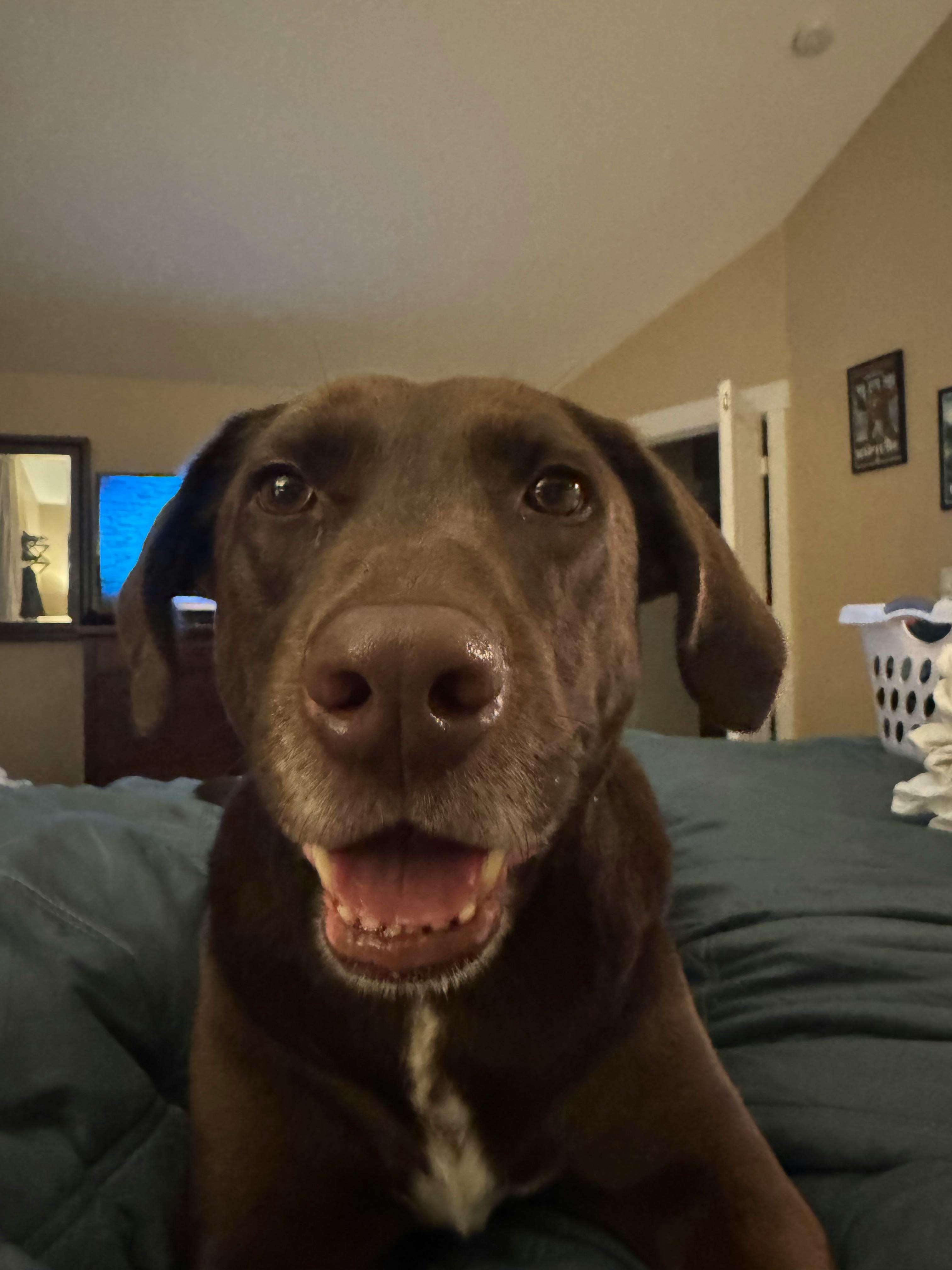 user avatar image for Andy