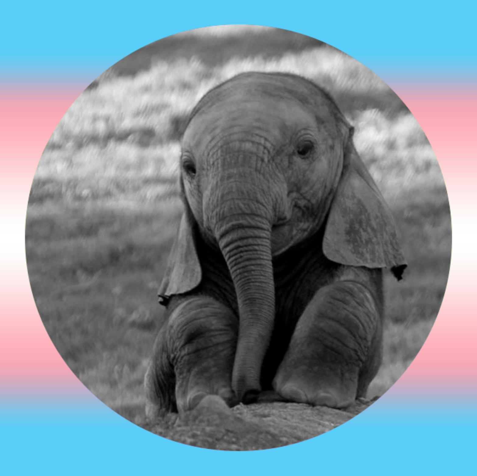 user avatar image for Simcha Schnee