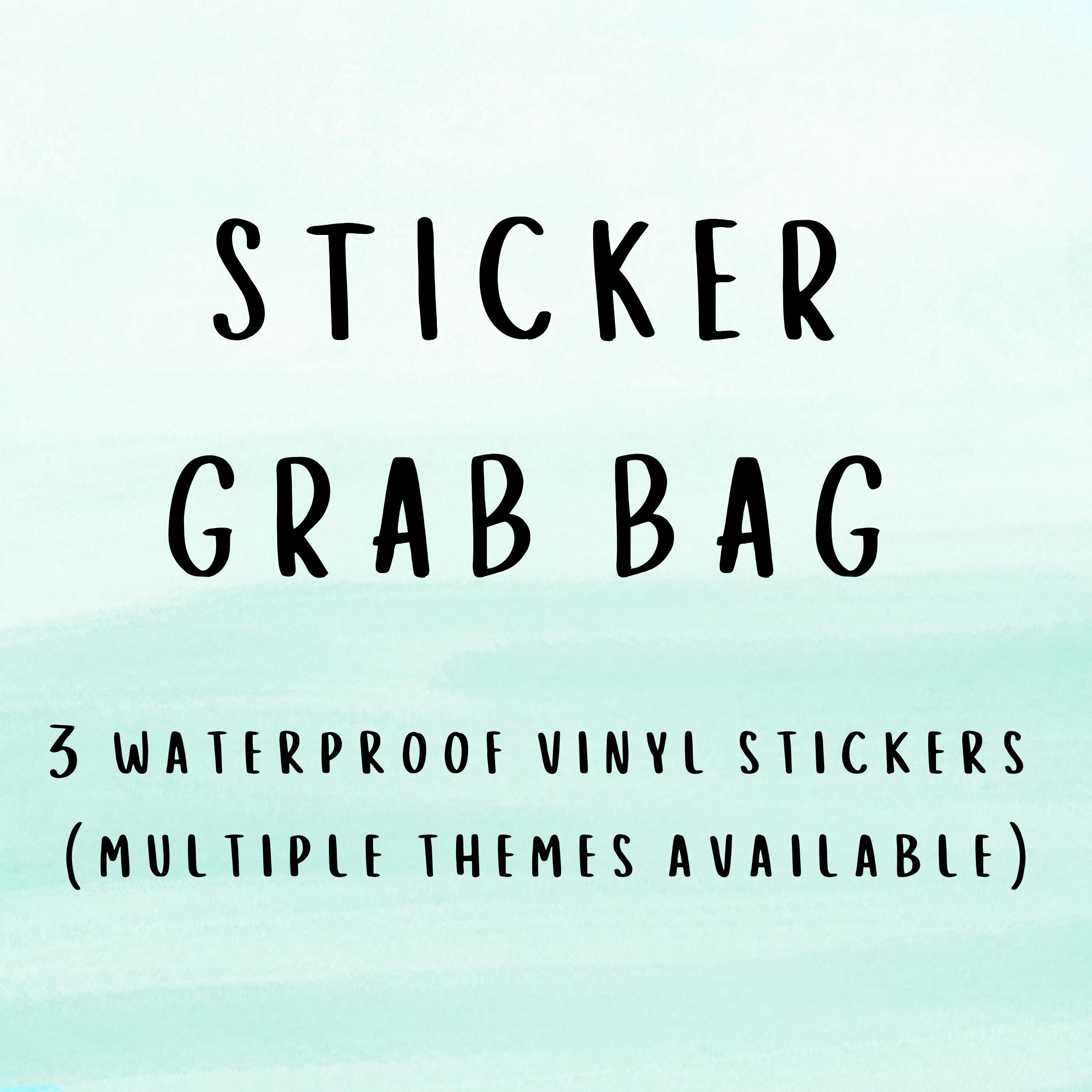 Mystery Sticker Pack (S)