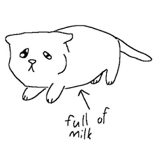 user avatar image for Ck