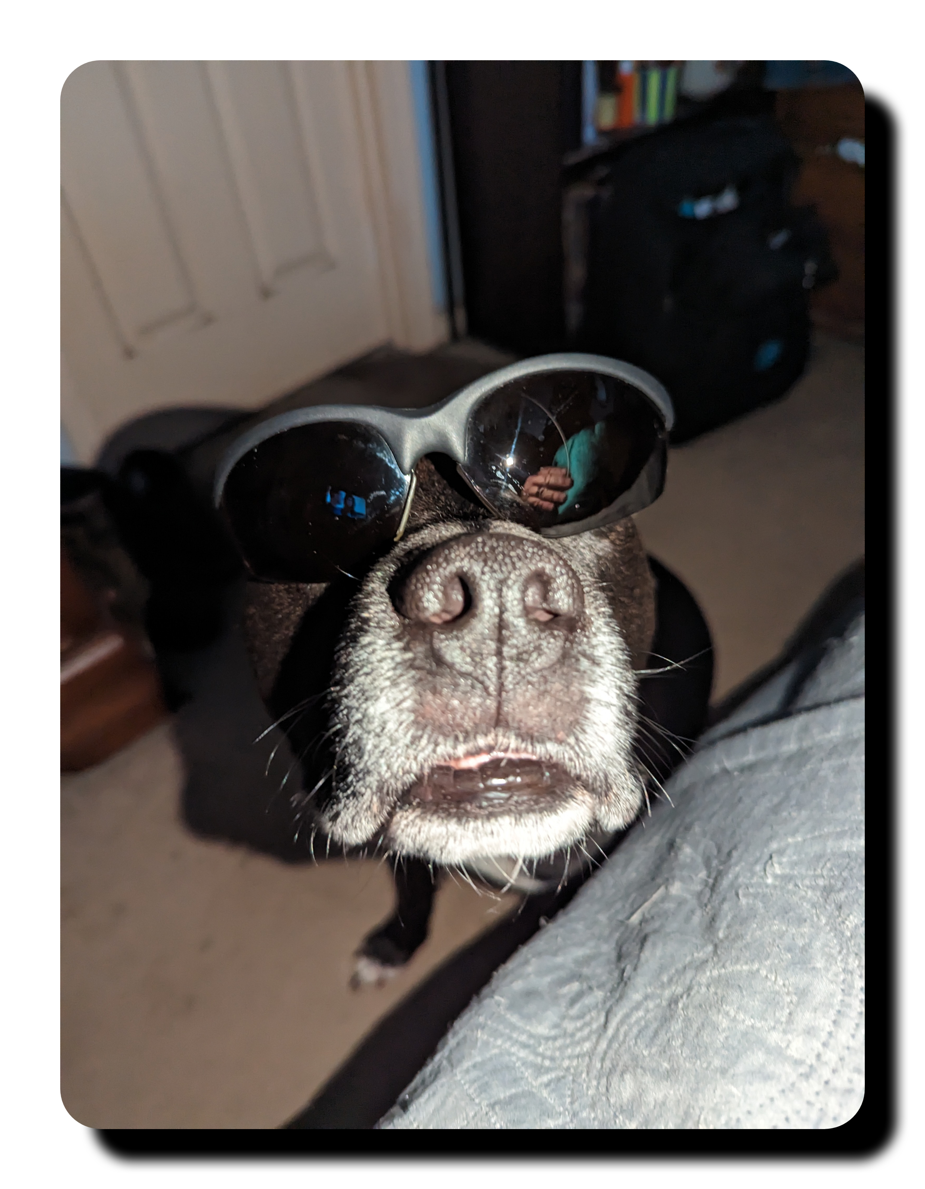 user avatar image for Erick Paulson