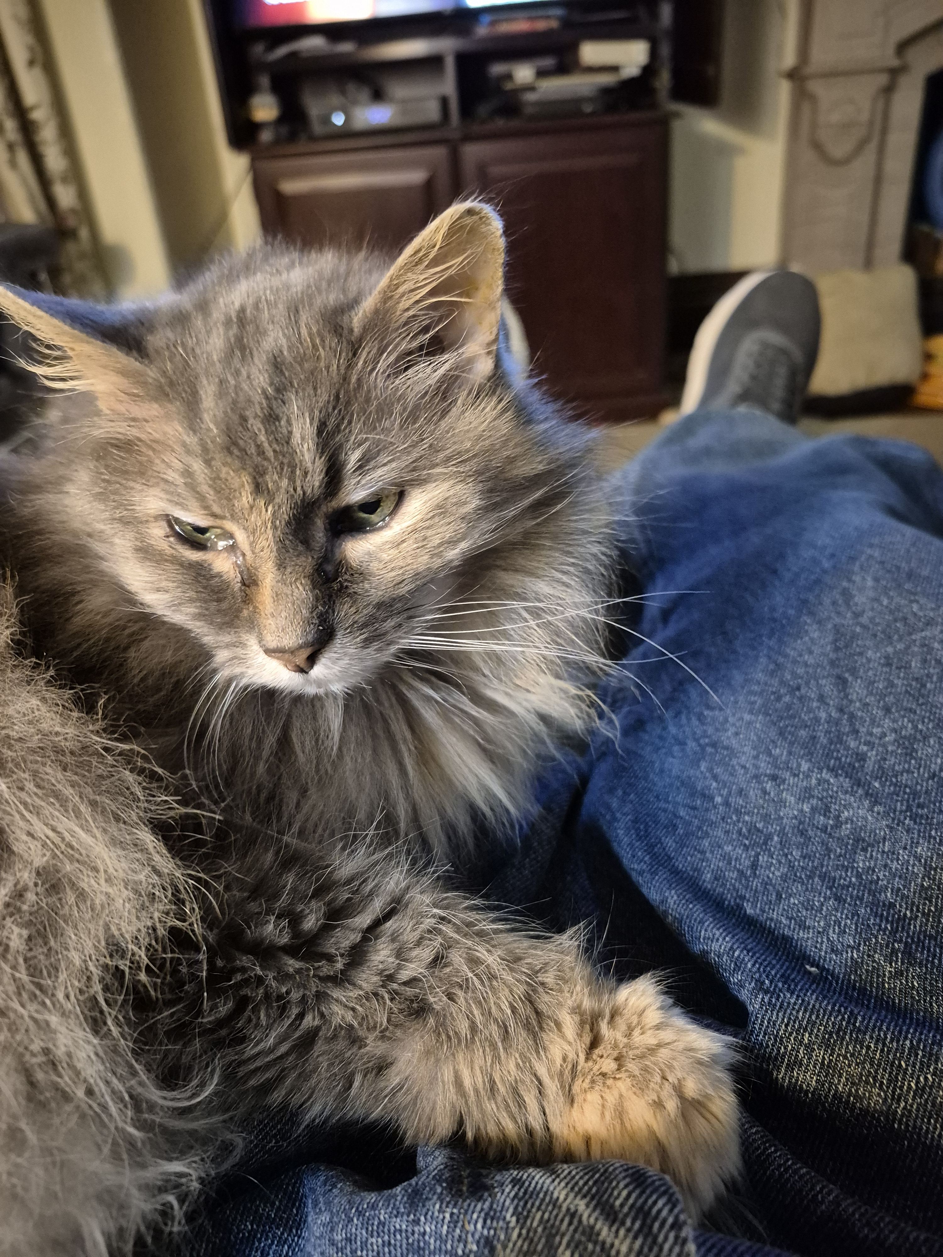 user avatar image for pwmb